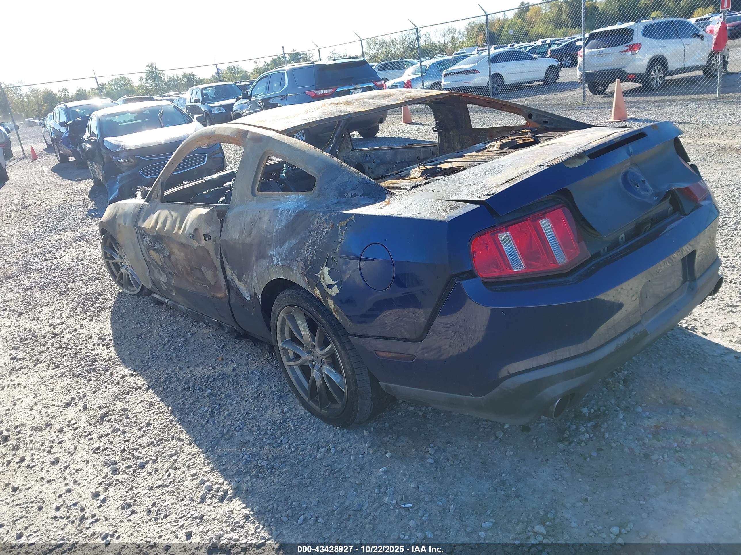 FORD MUSTANG image 3