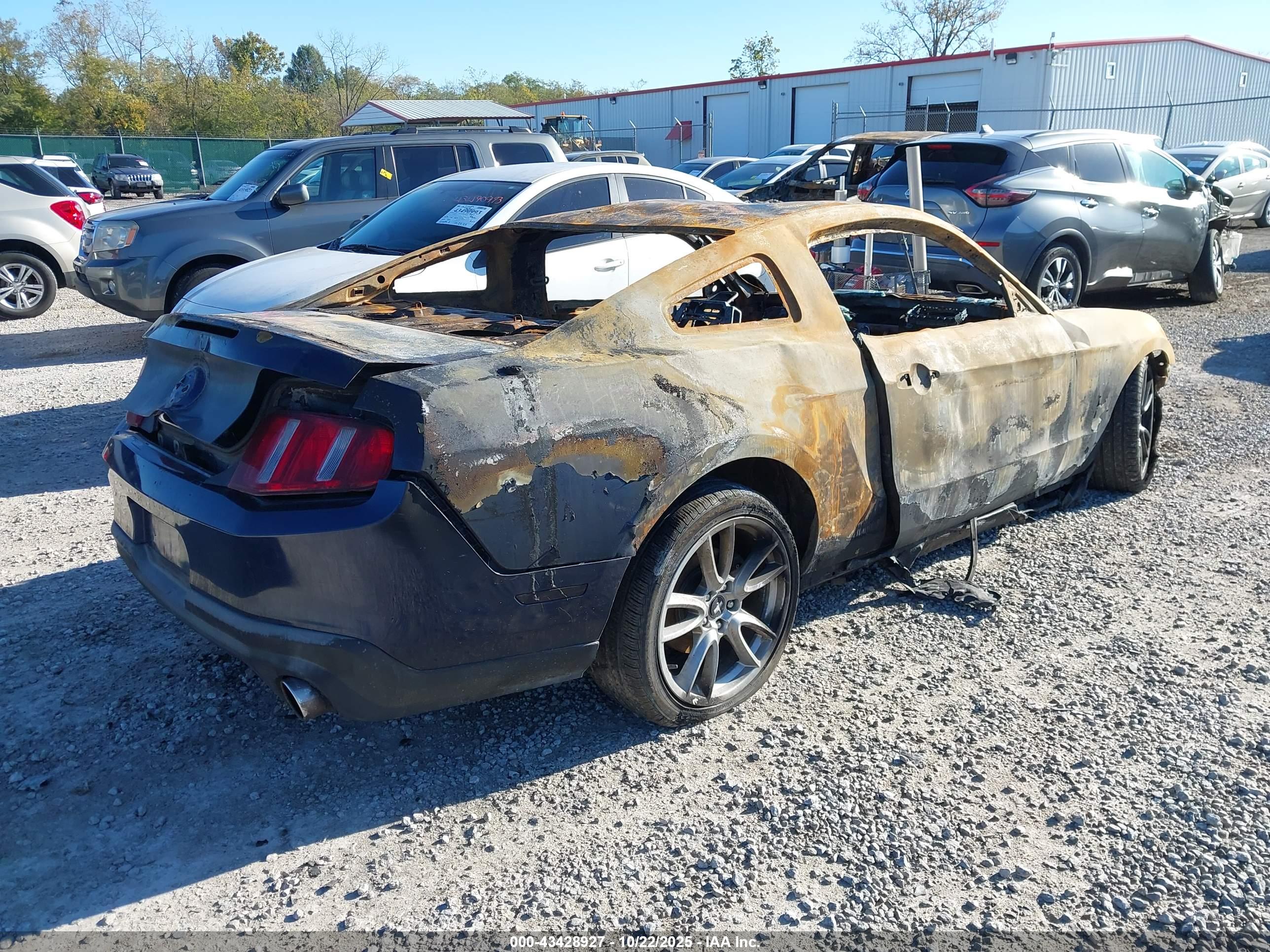 FORD MUSTANG image 4