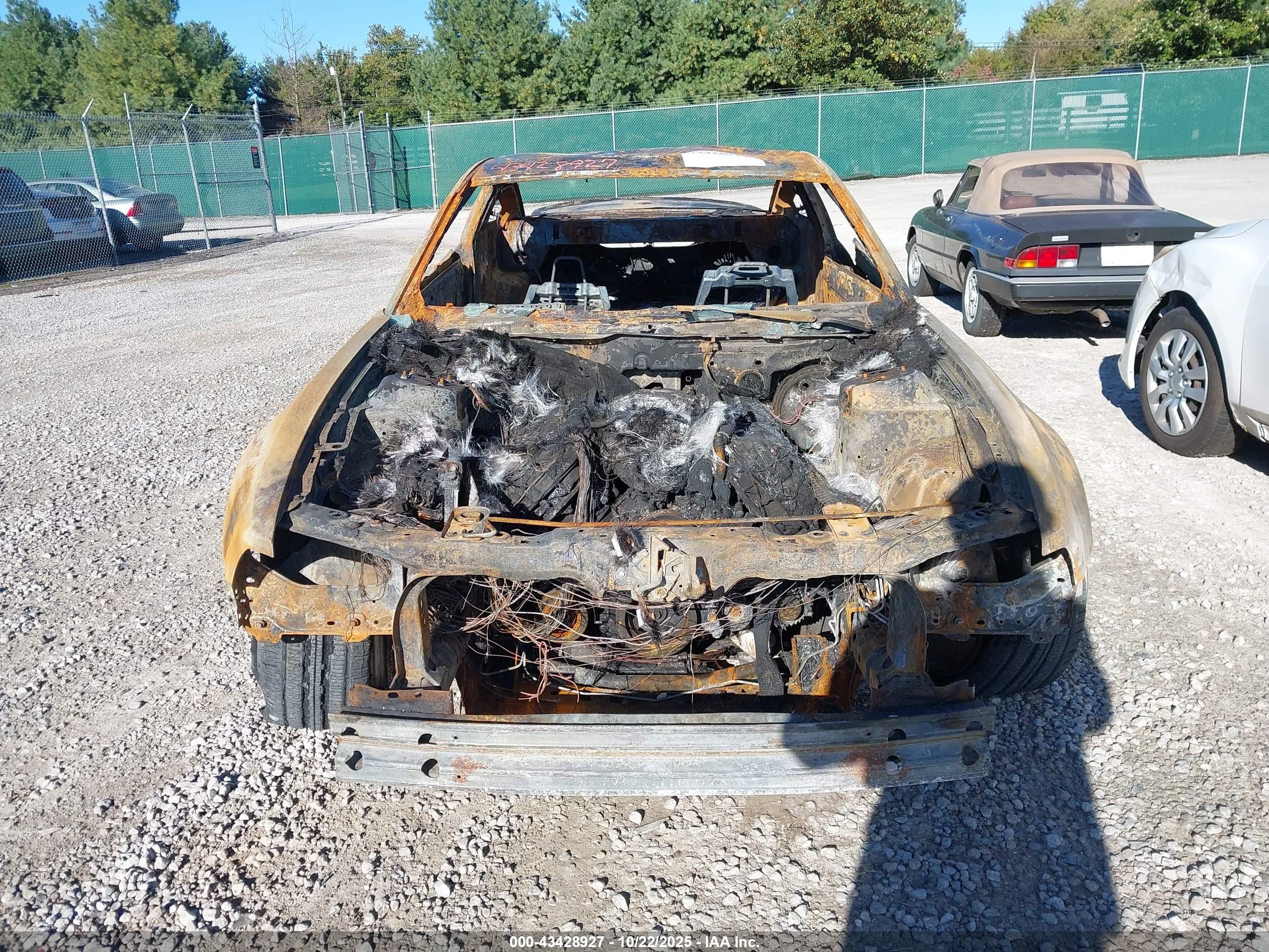 FORD MUSTANG image 6
