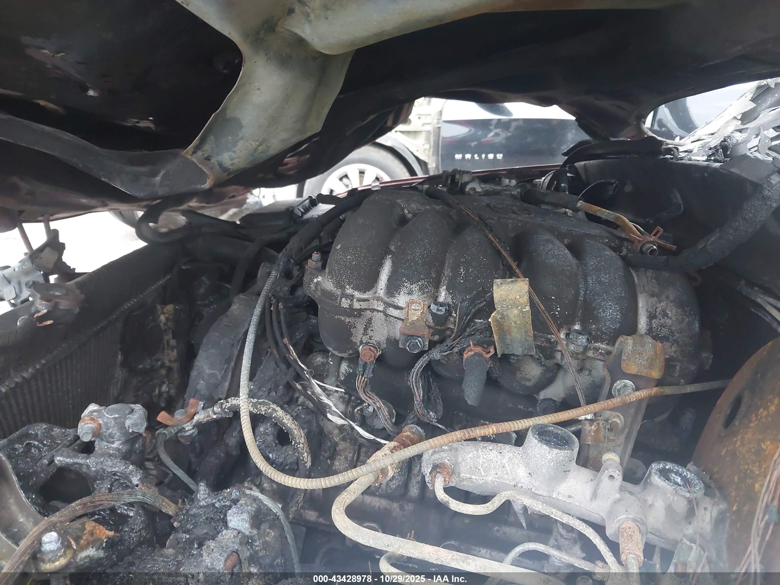 TOYOTA TACOMA image 10