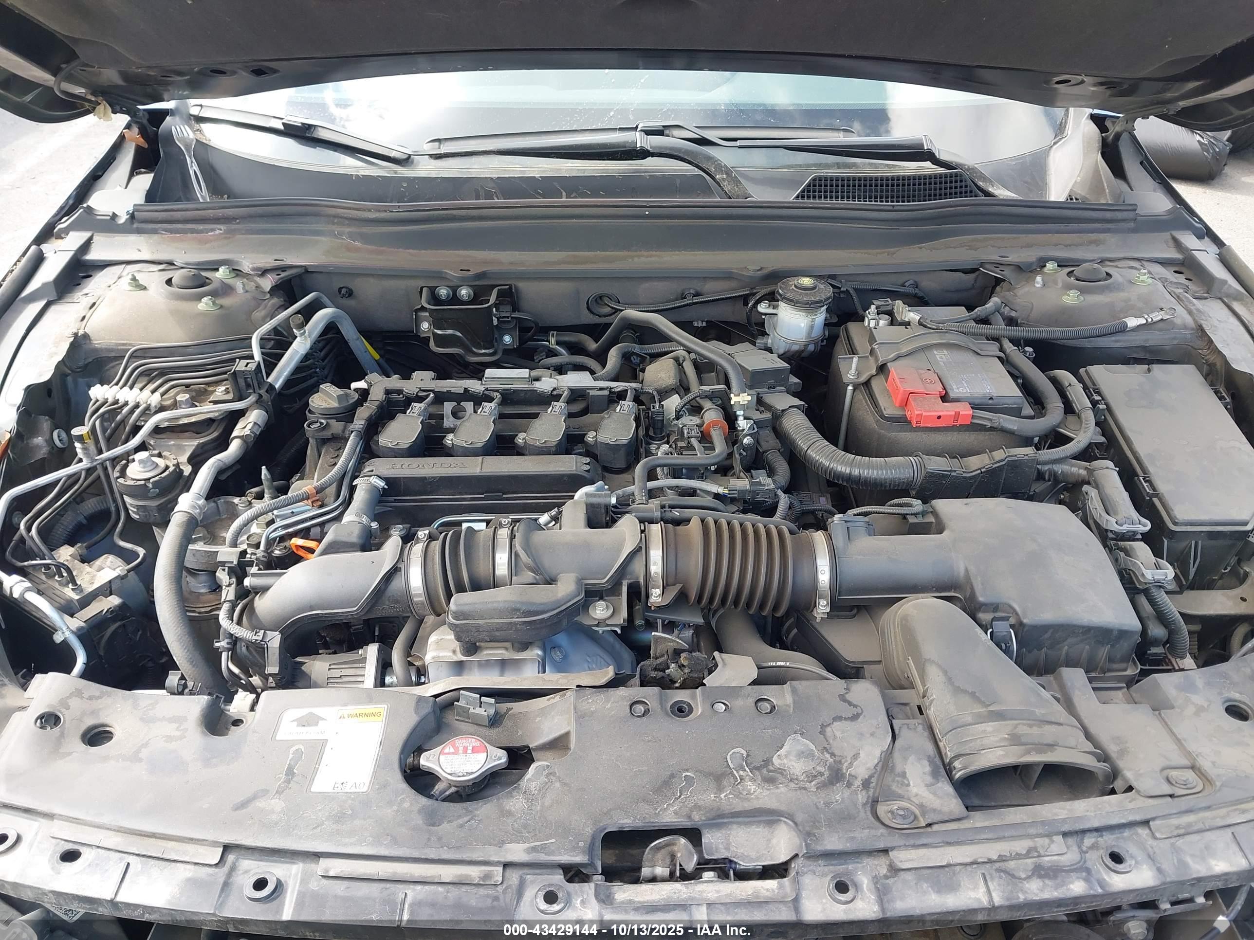 HONDA ACCORD image 10