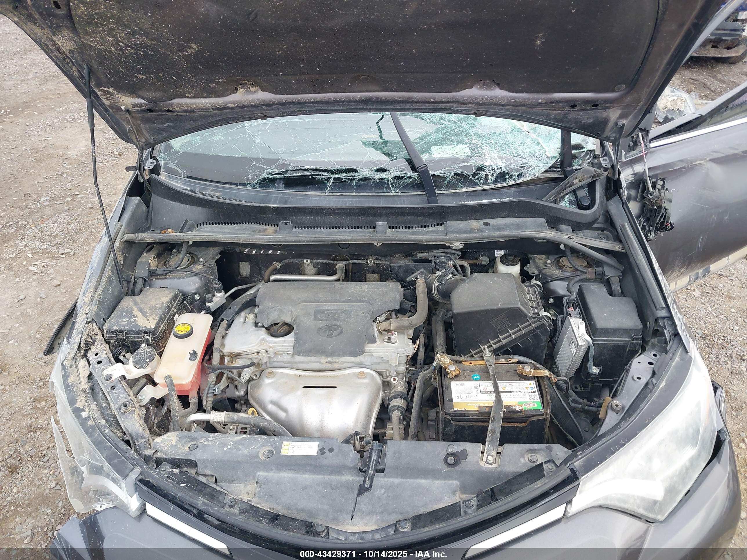 TOYOTA RAV4 image 10