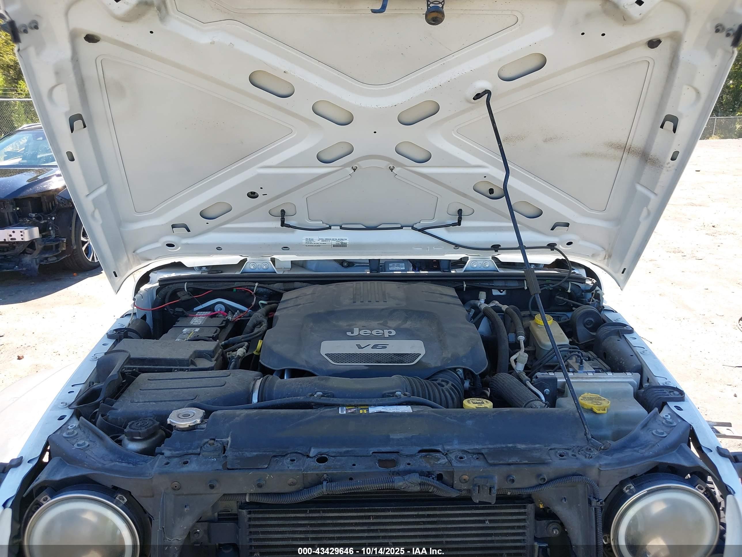 JEEP WRANGLER image 10