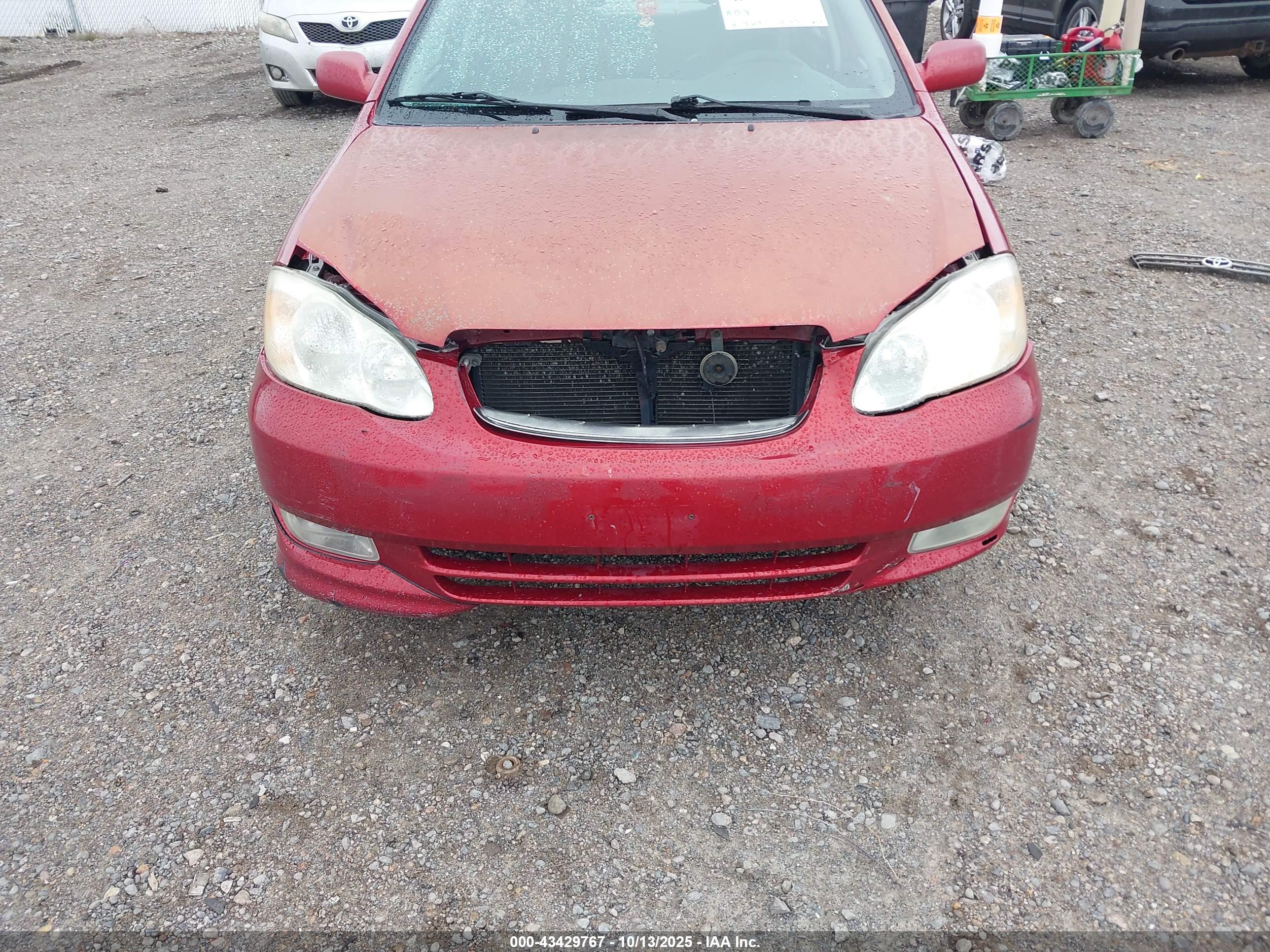 TOYOTA COROLLA image 6