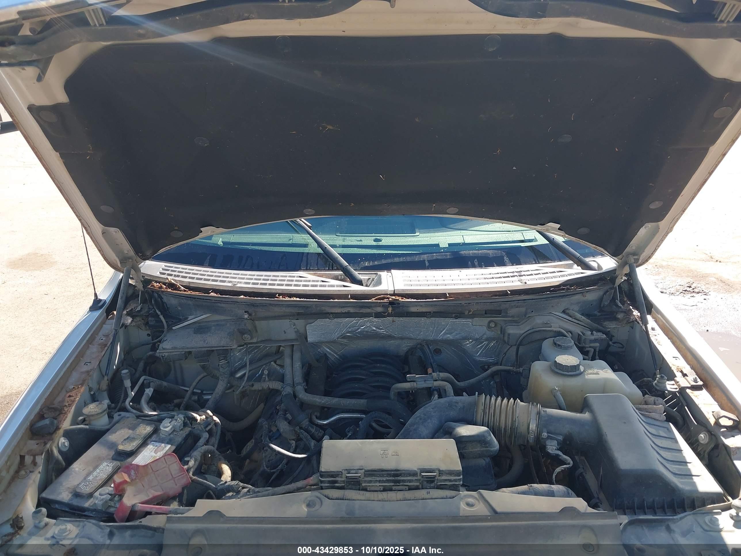 FORD F-150 image 10
