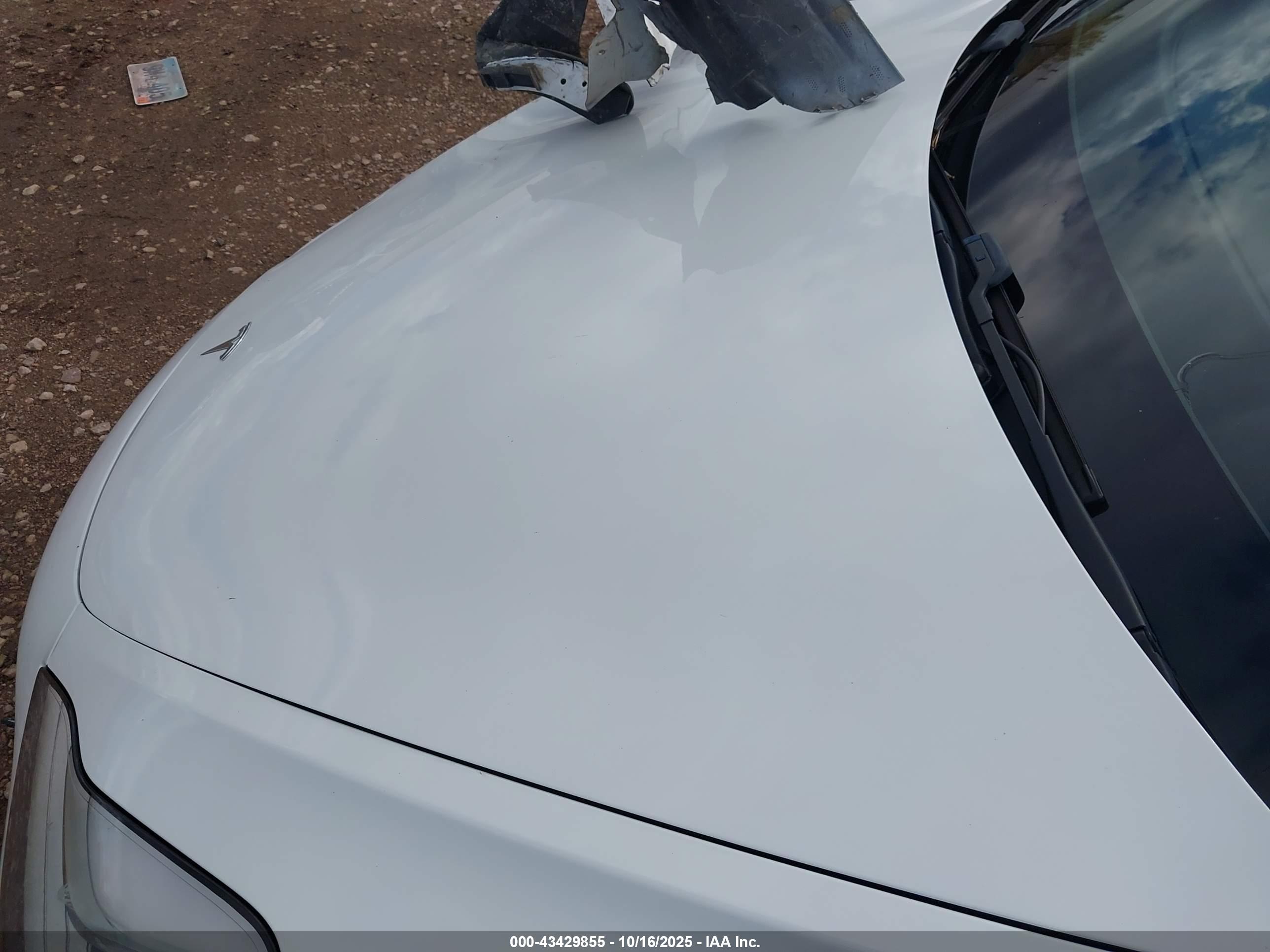 TESLA MODEL image 10