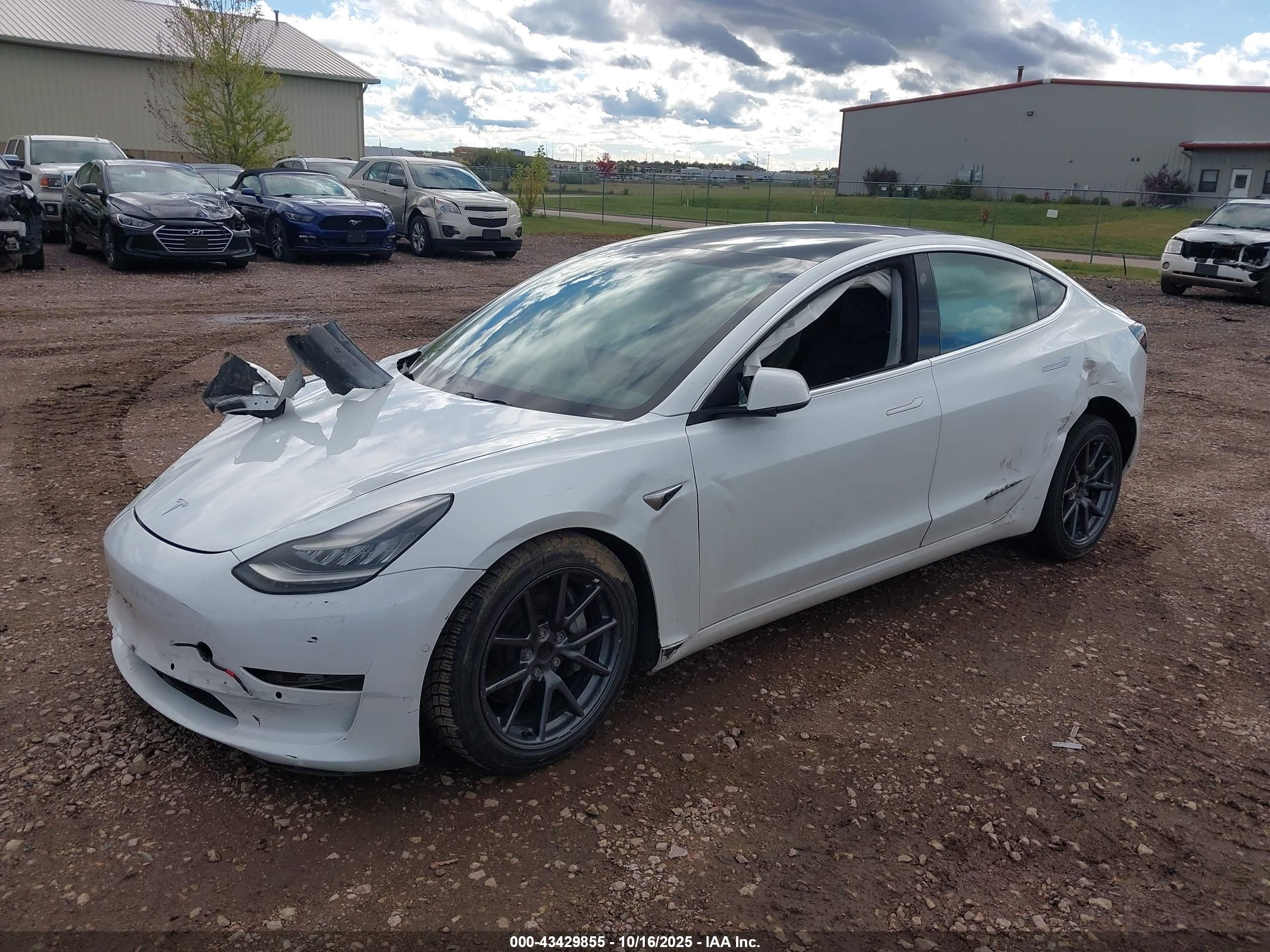 TESLA MODEL image 2