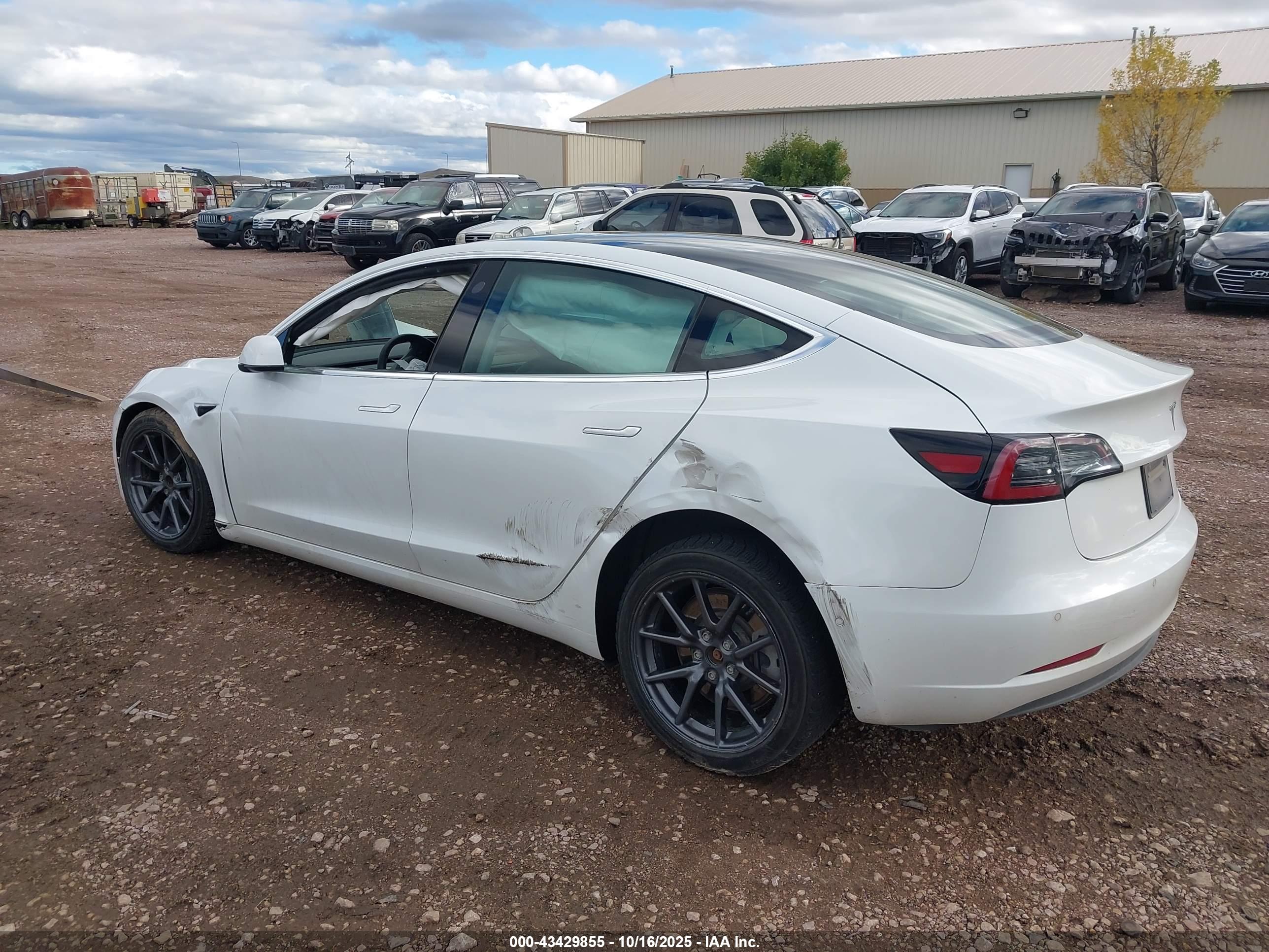 TESLA MODEL image 3