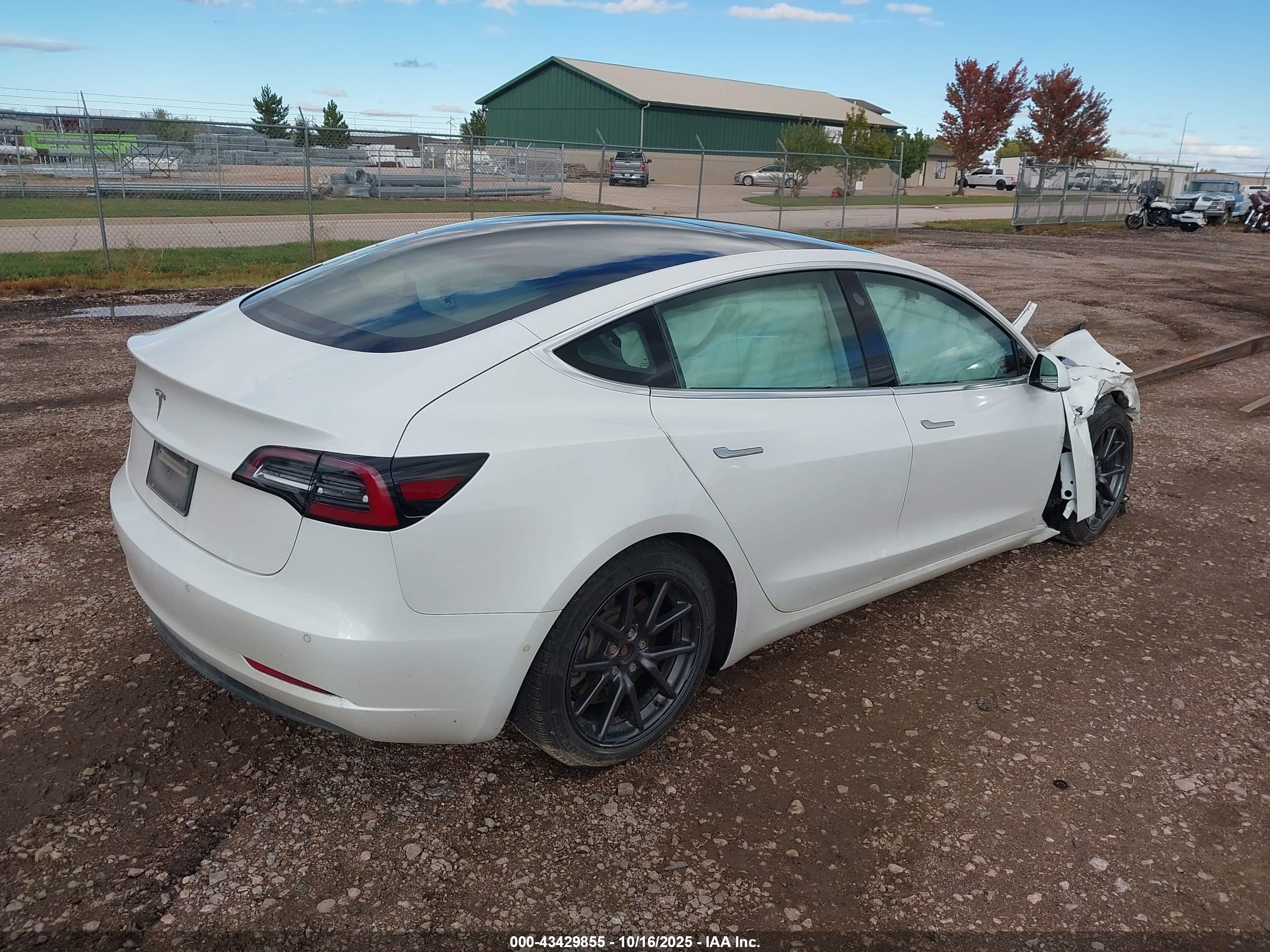 TESLA MODEL image 4