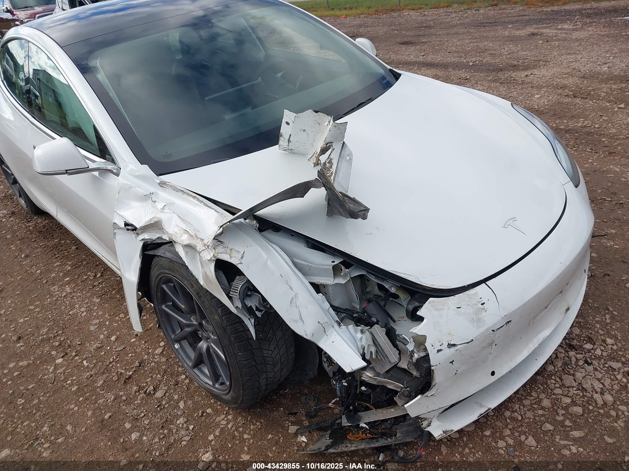 TESLA MODEL image 6