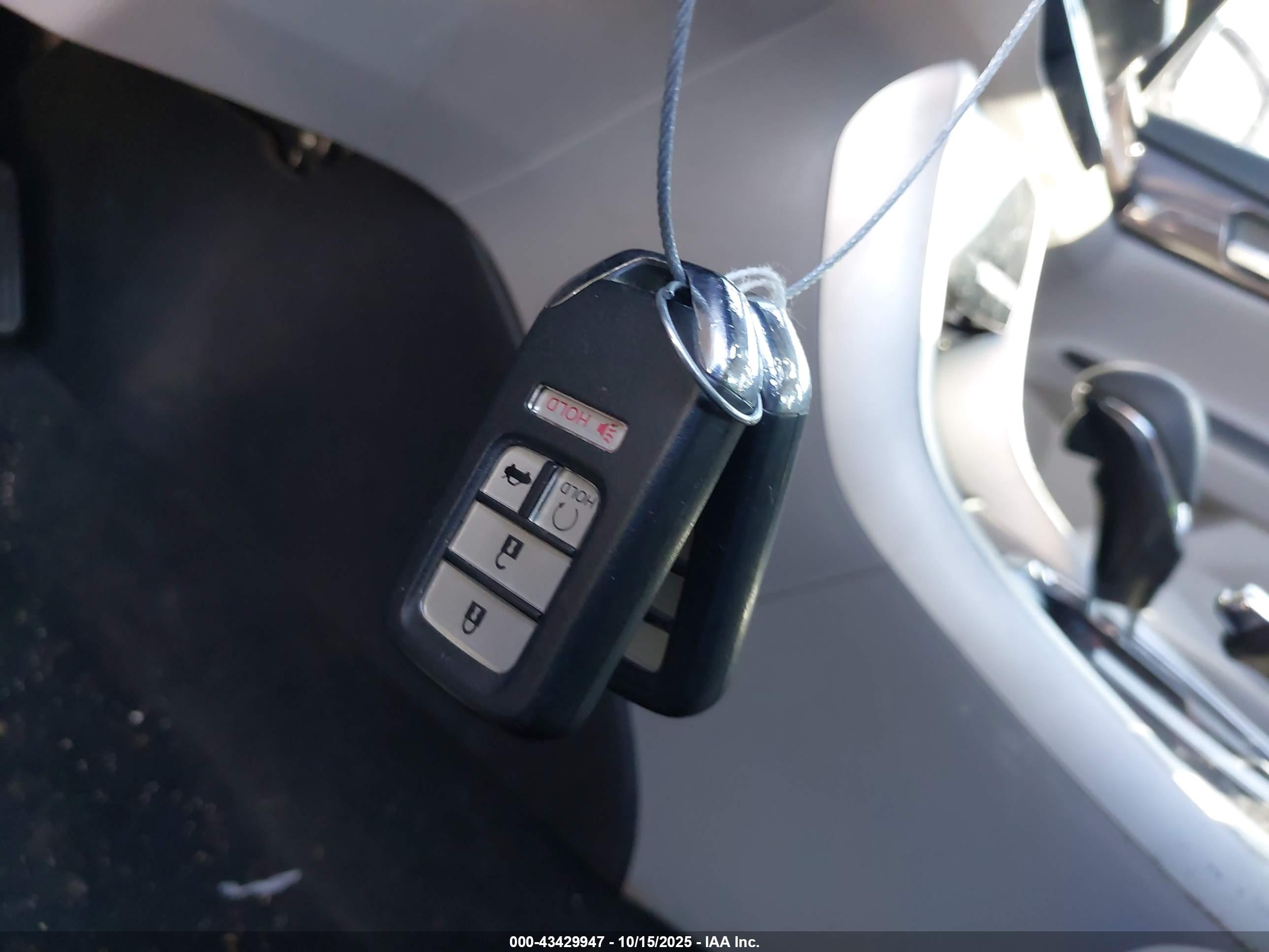 HONDA ACCORD image 11