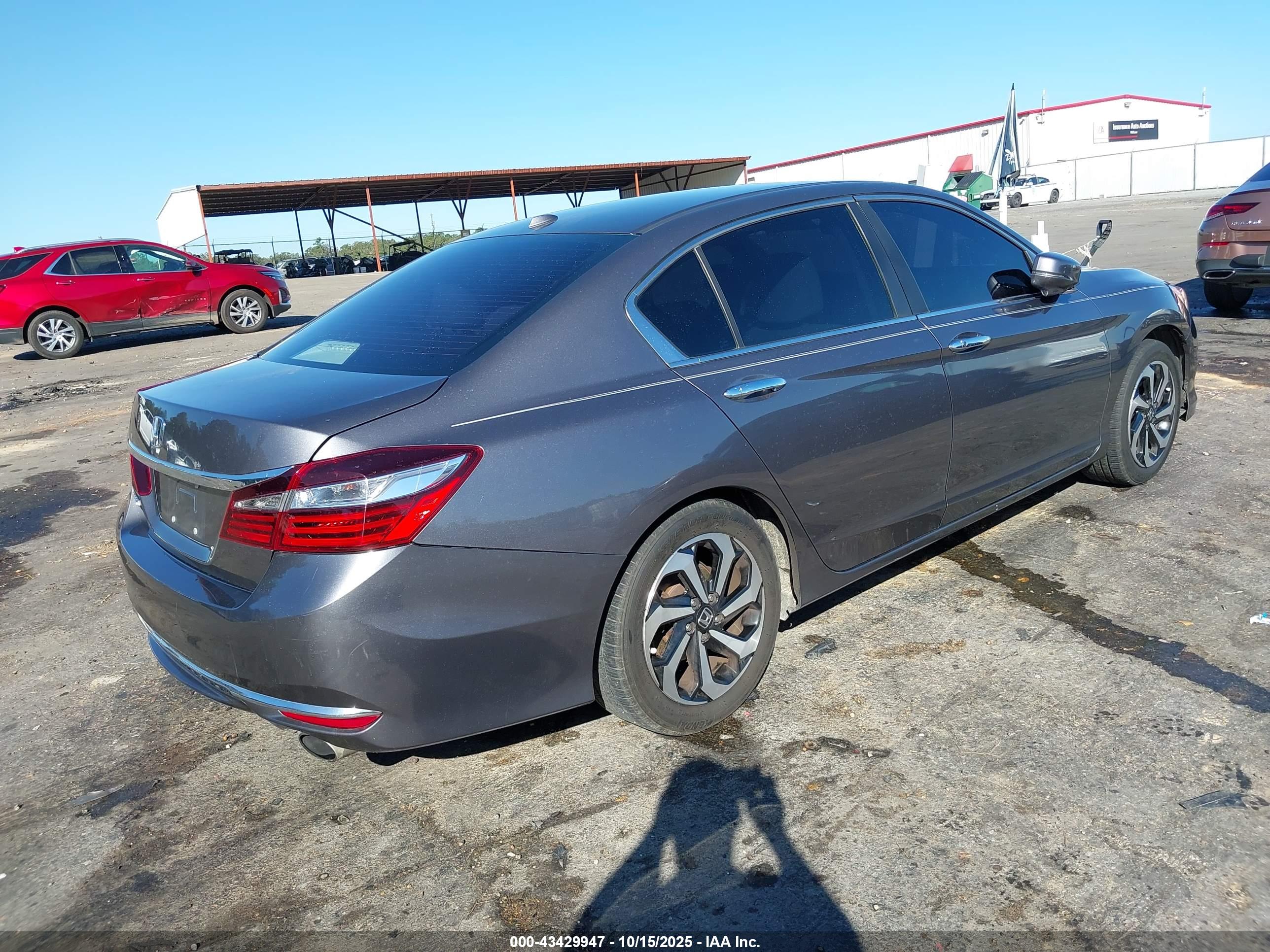 HONDA ACCORD image 4
