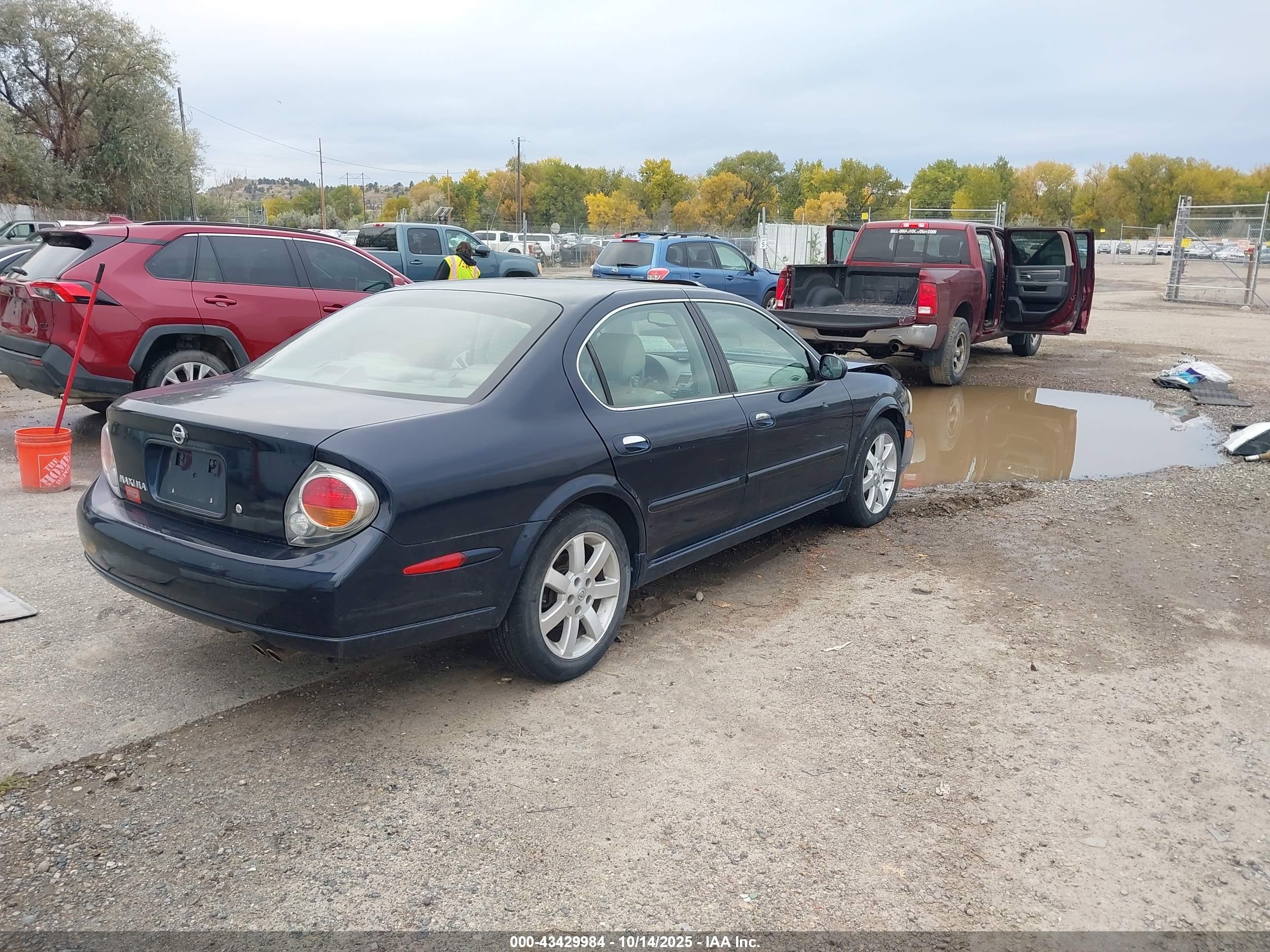 NISSAN MAXIMA image 4
