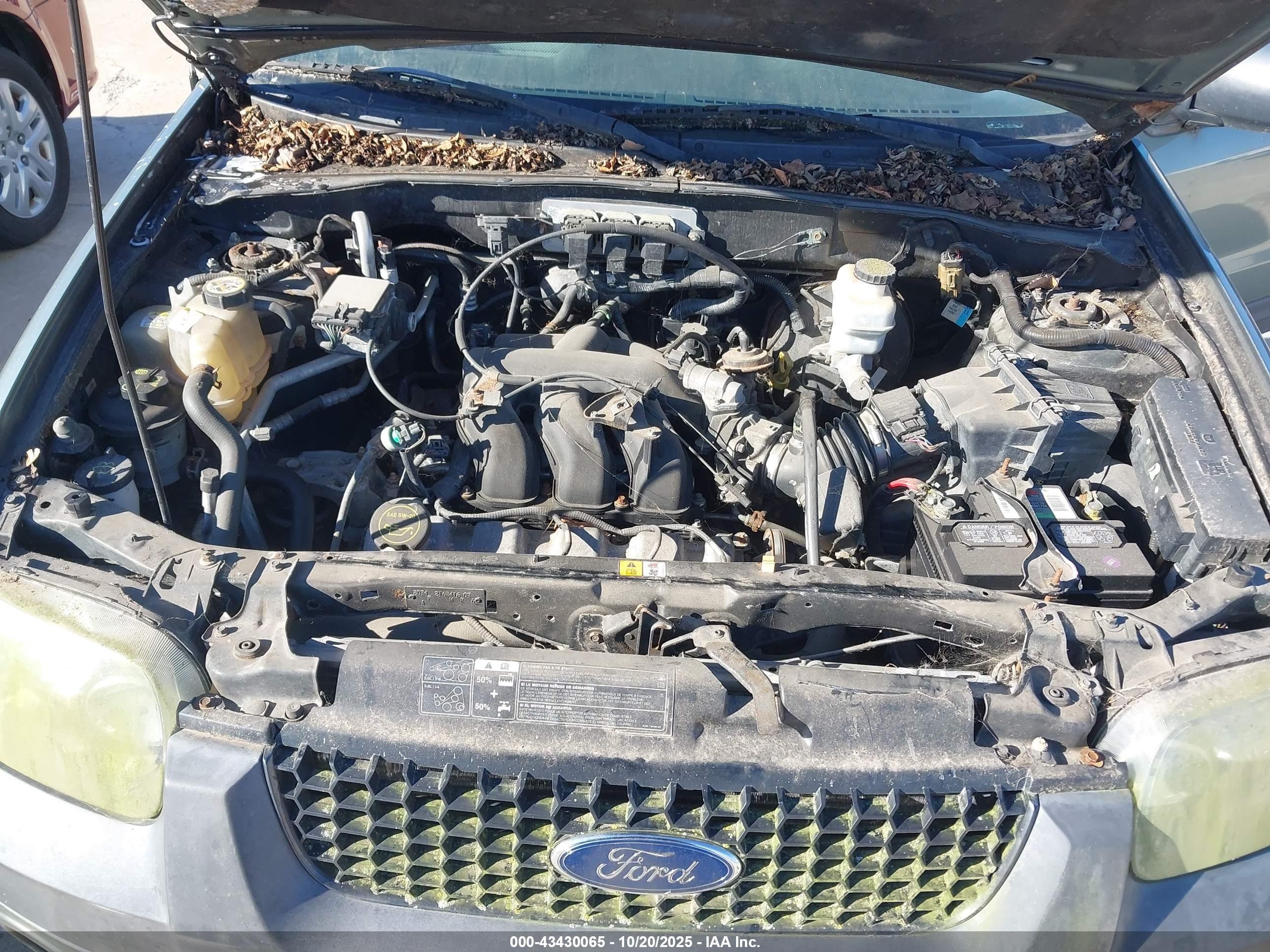 FORD ESCAPE image 10