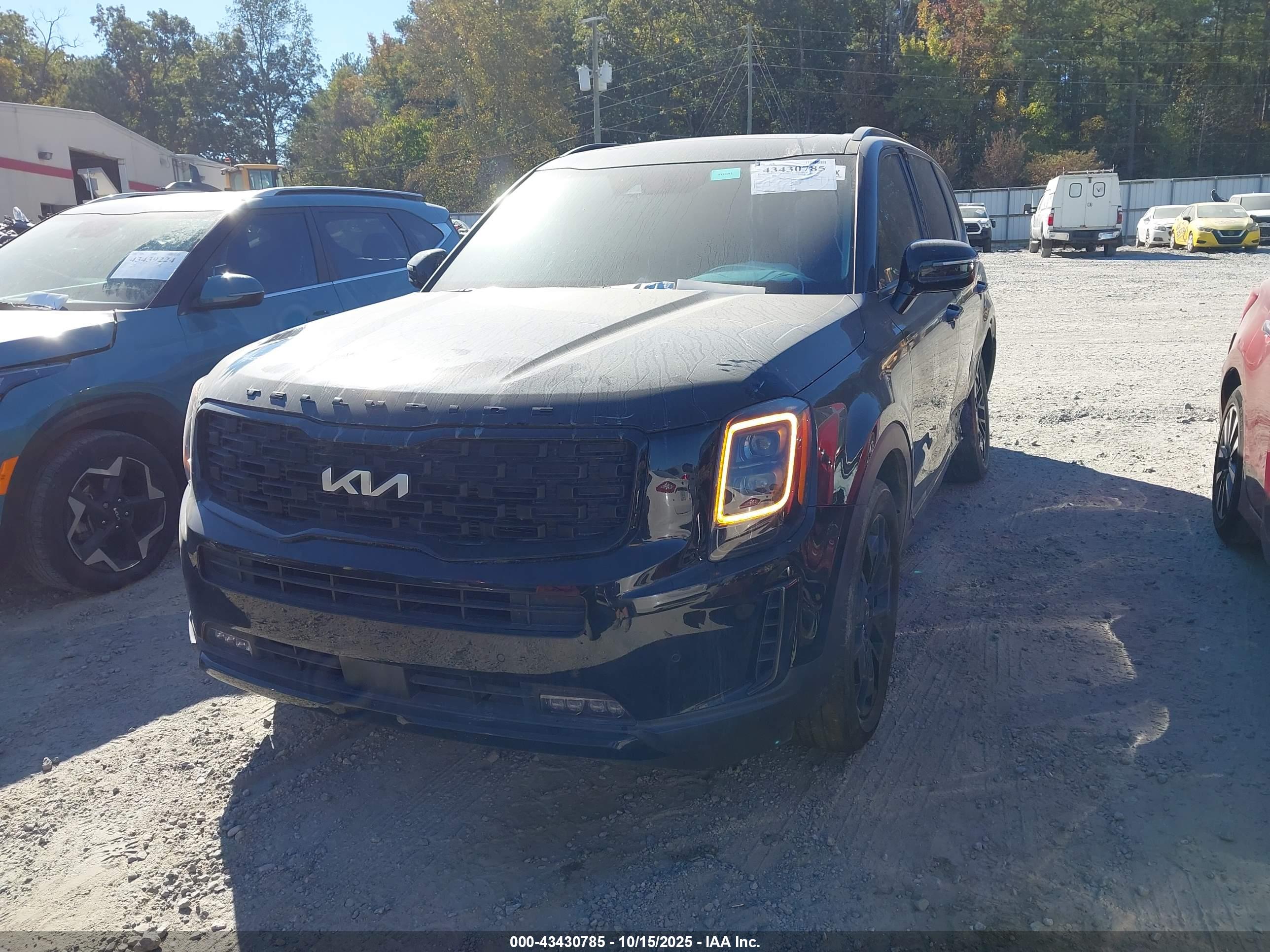 KIA TELLURIDE image 2