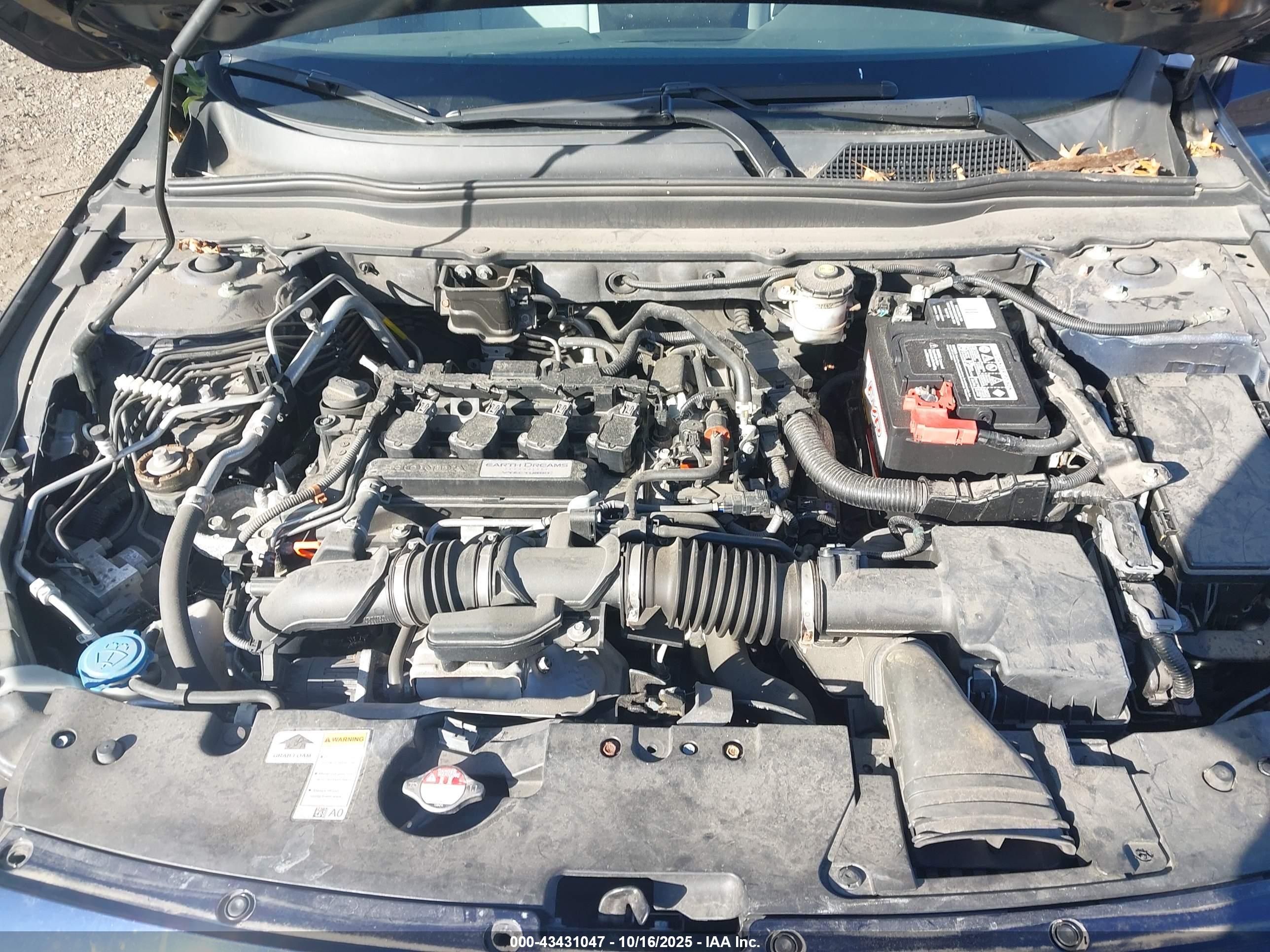 HONDA ACCORD image 10