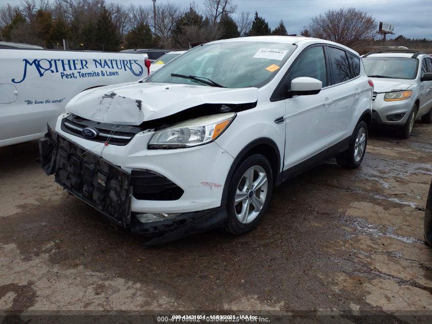 FORD ESCAPE image 2