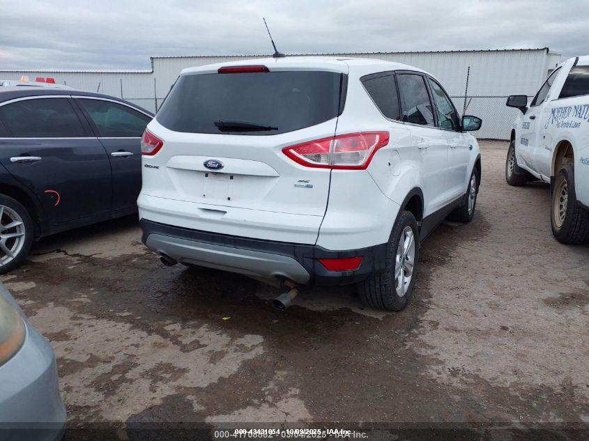 FORD ESCAPE image 4