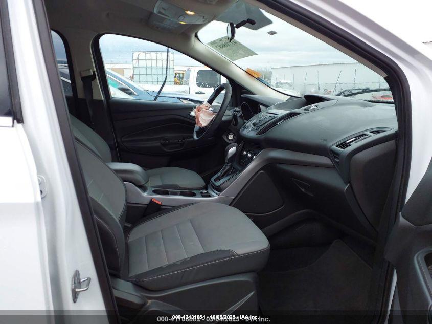 FORD ESCAPE image 5