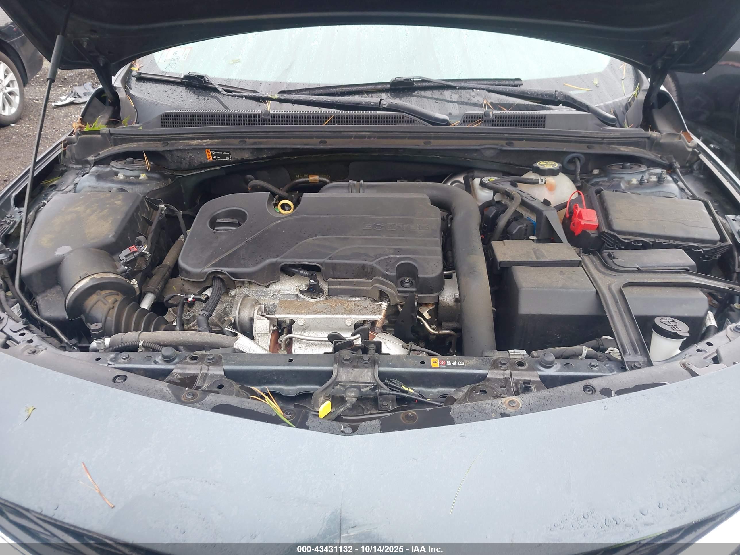 CHEVROLET MALIBU image 10