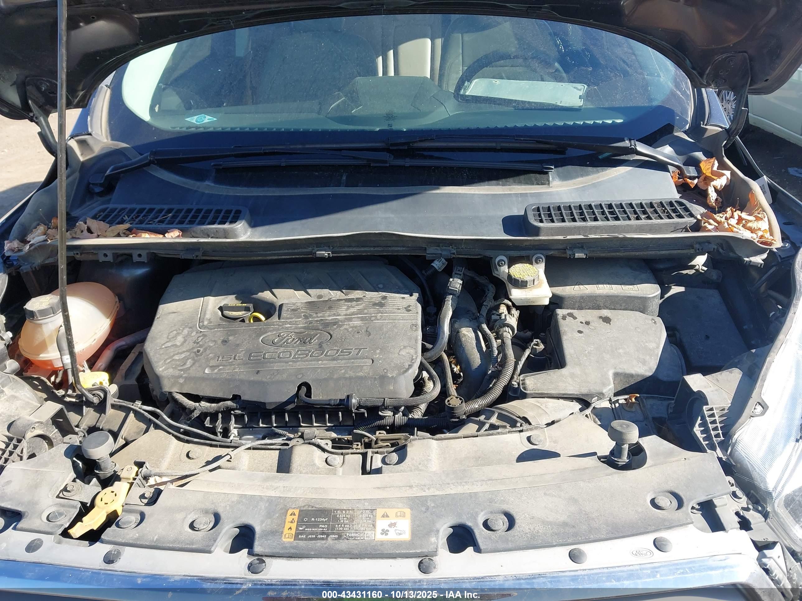 FORD ESCAPE image 10