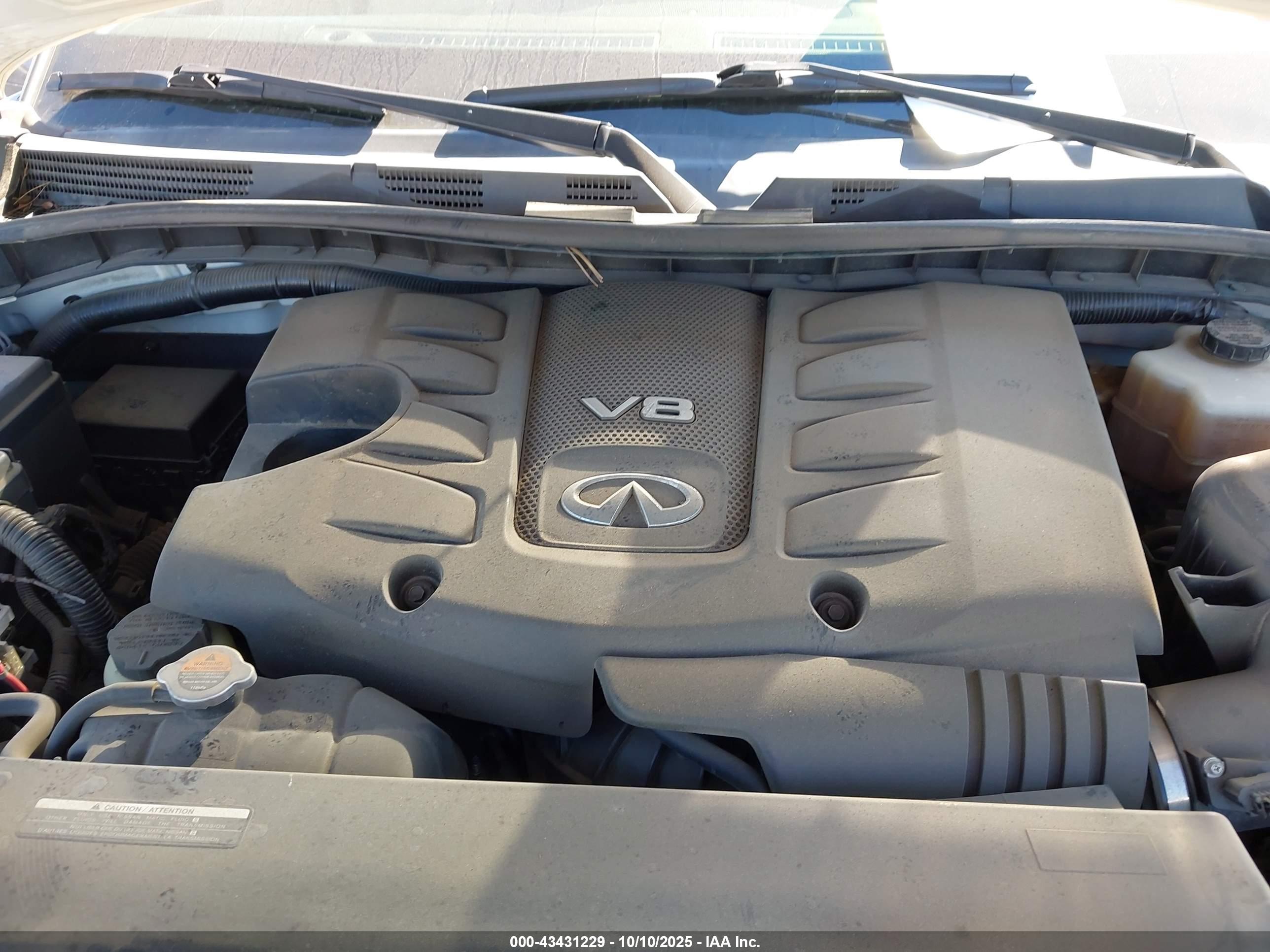 INFINITI QX80 image 10