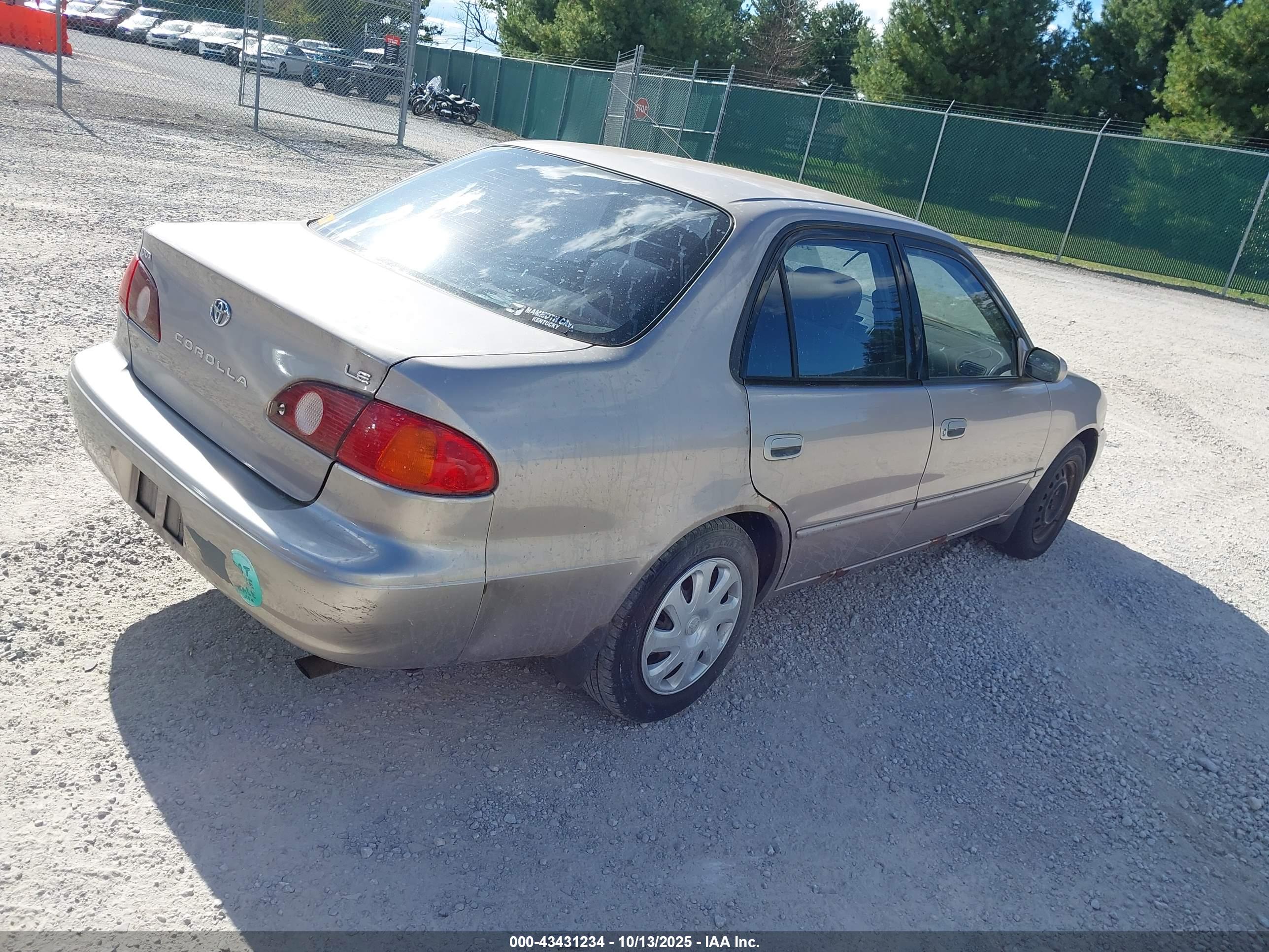 TOYOTA COROLLA image 4