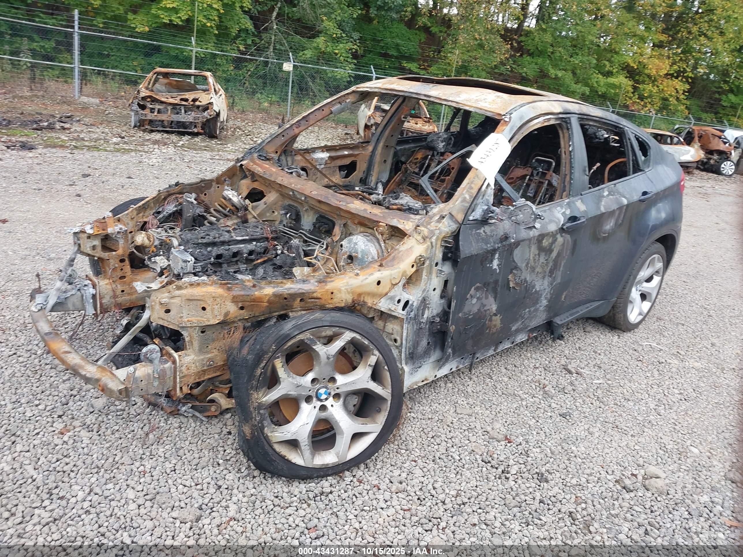 BMW X6 image 2