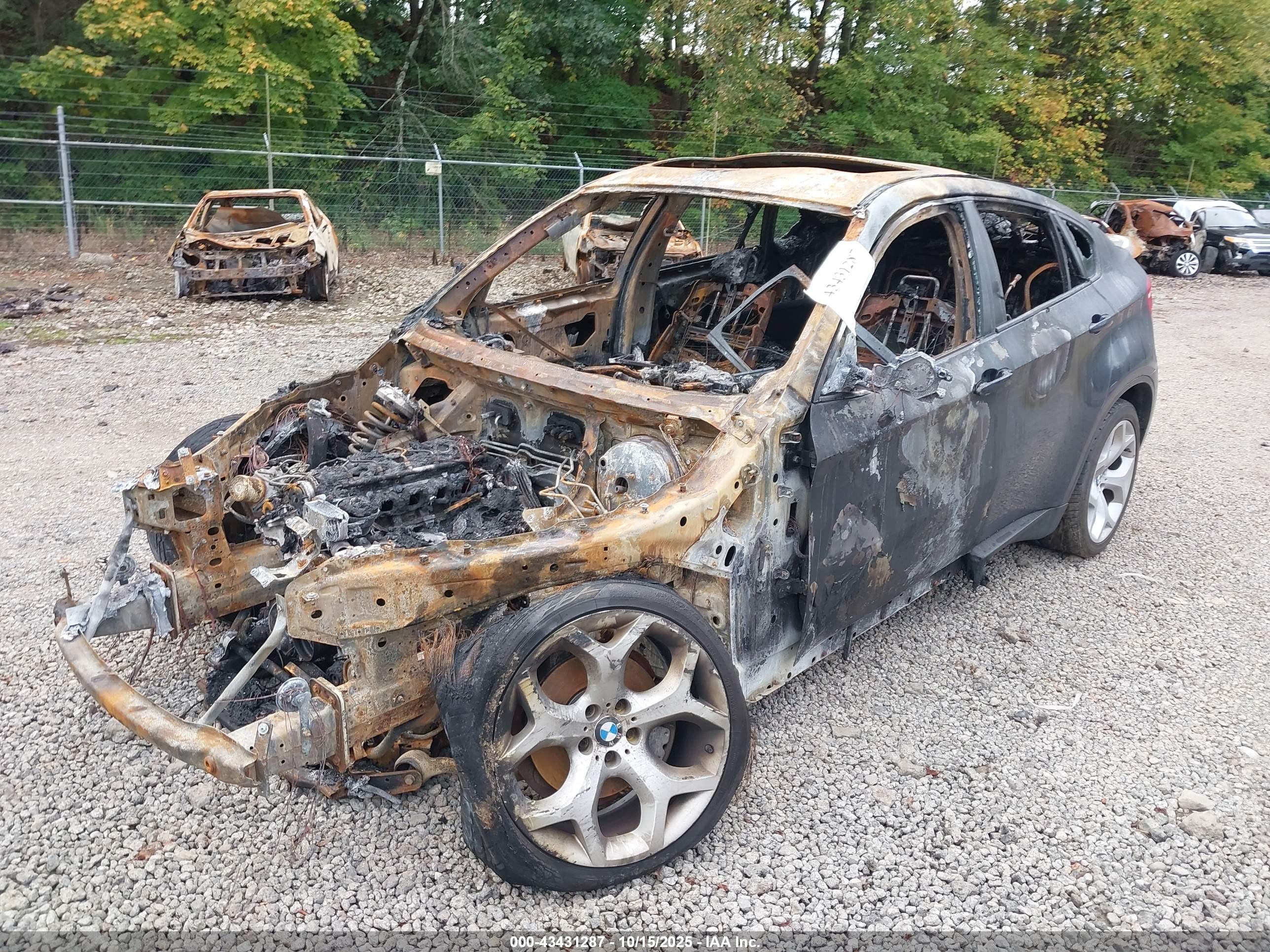 BMW X6 image 6