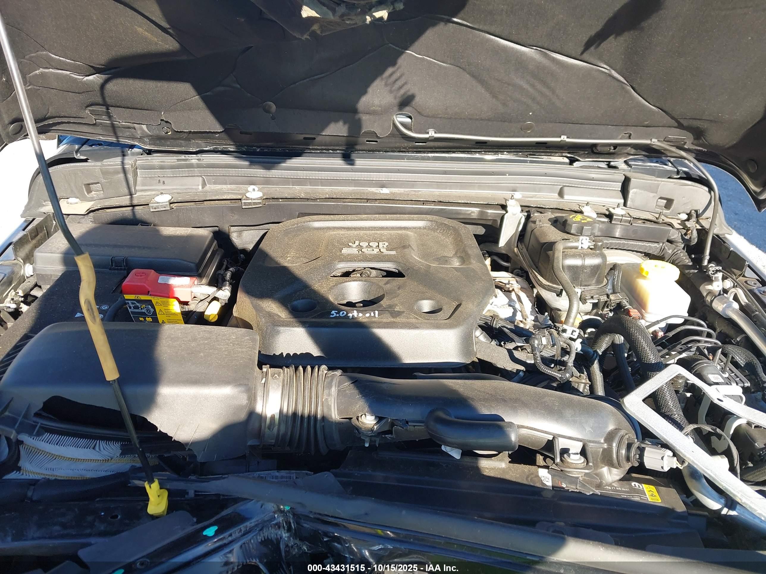 JEEP WRANGLER image 10