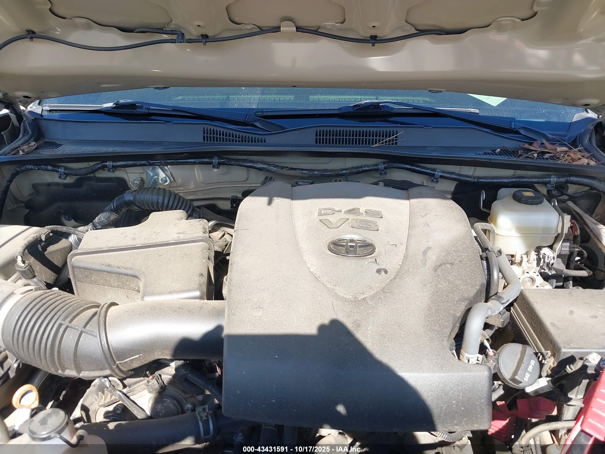 TOYOTA TACOMA image 10