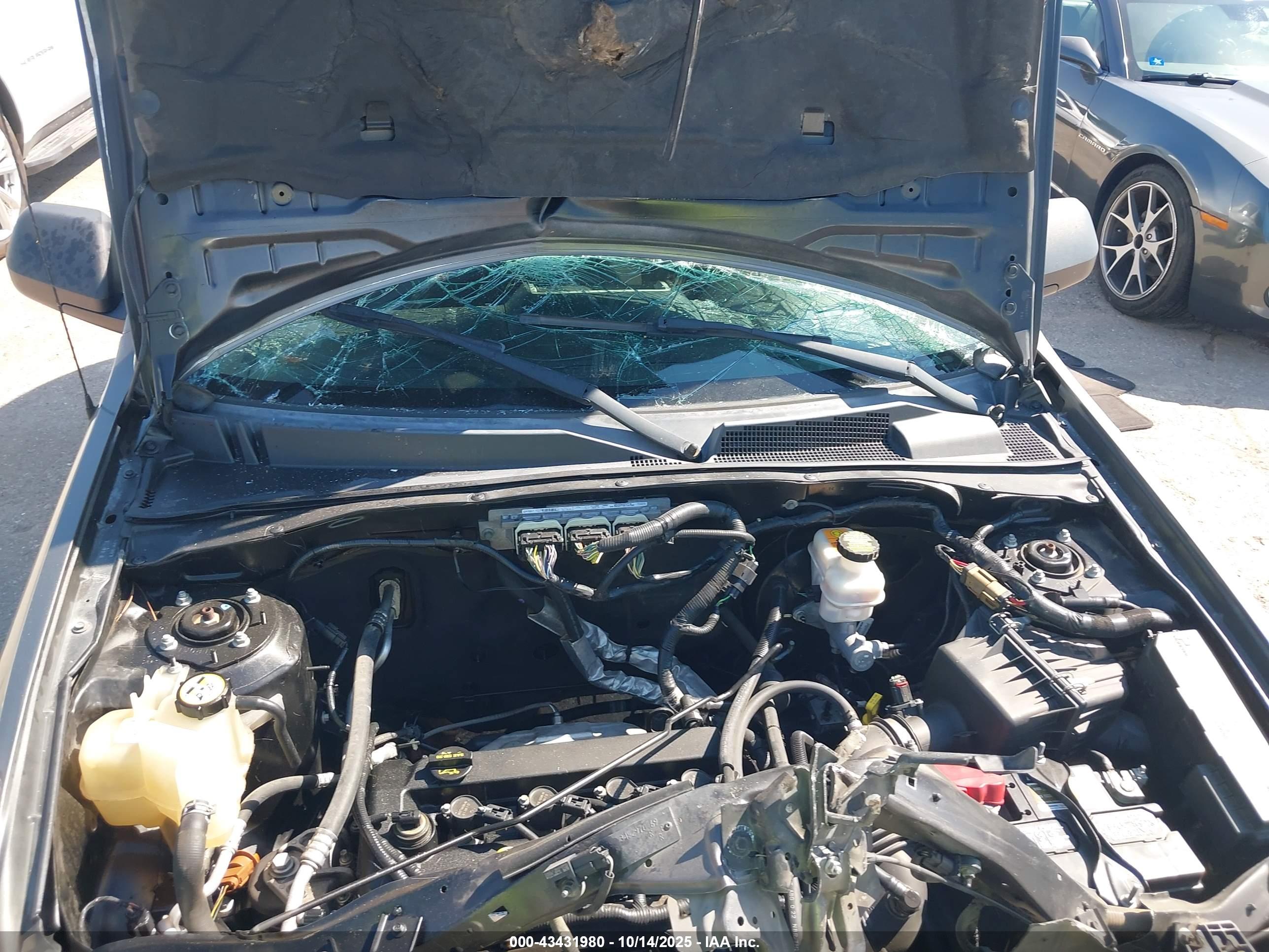 FORD ESCAPE image 10