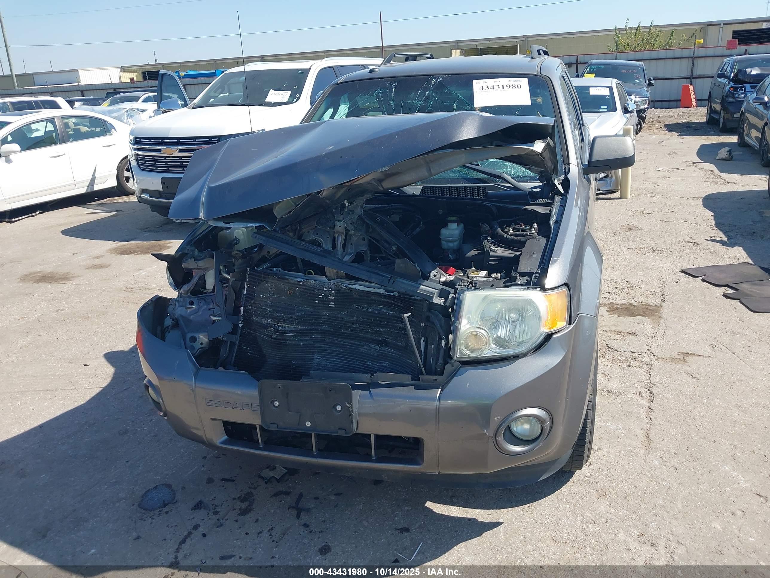FORD ESCAPE image 6