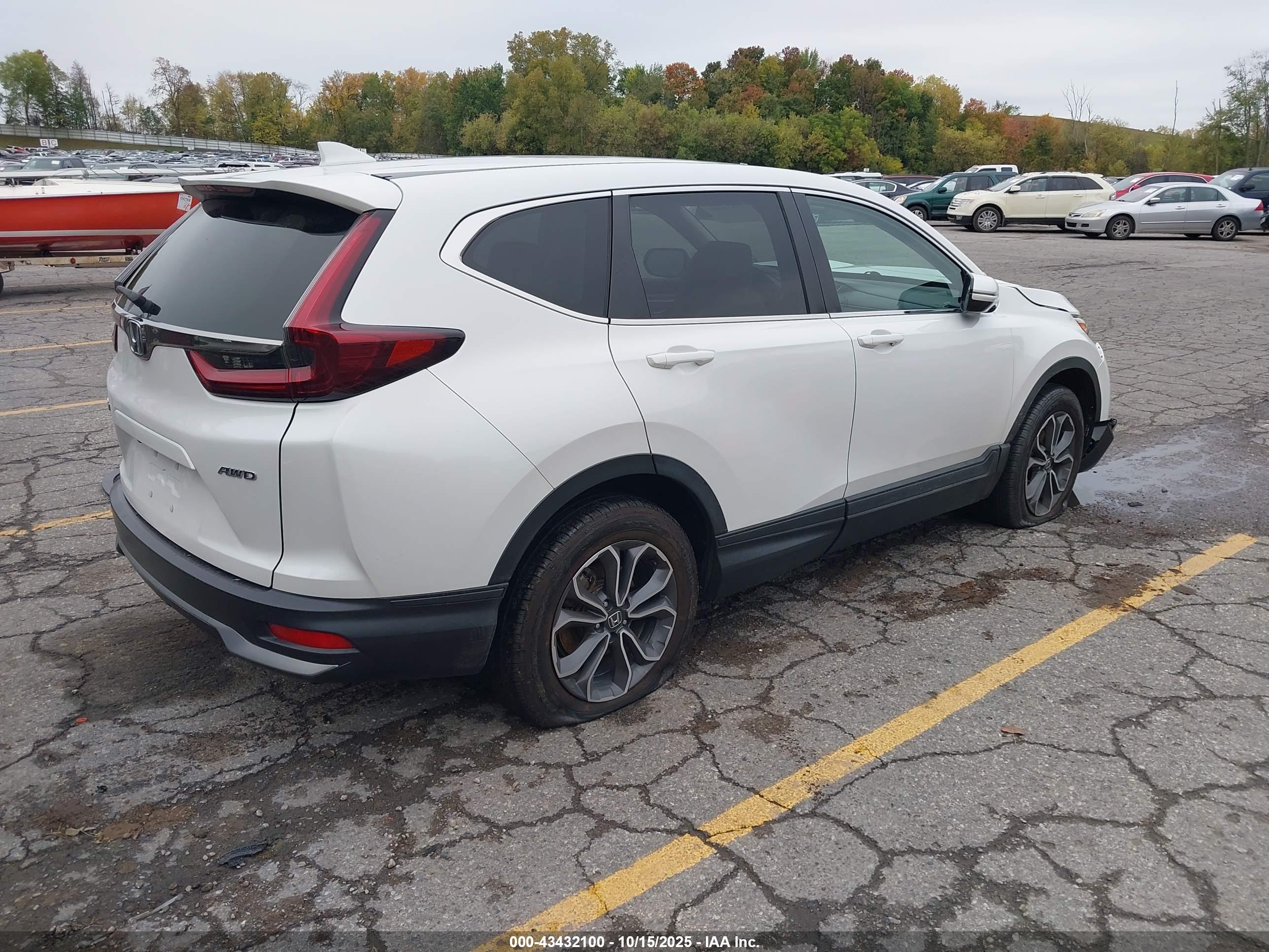 HONDA CR-V image 4