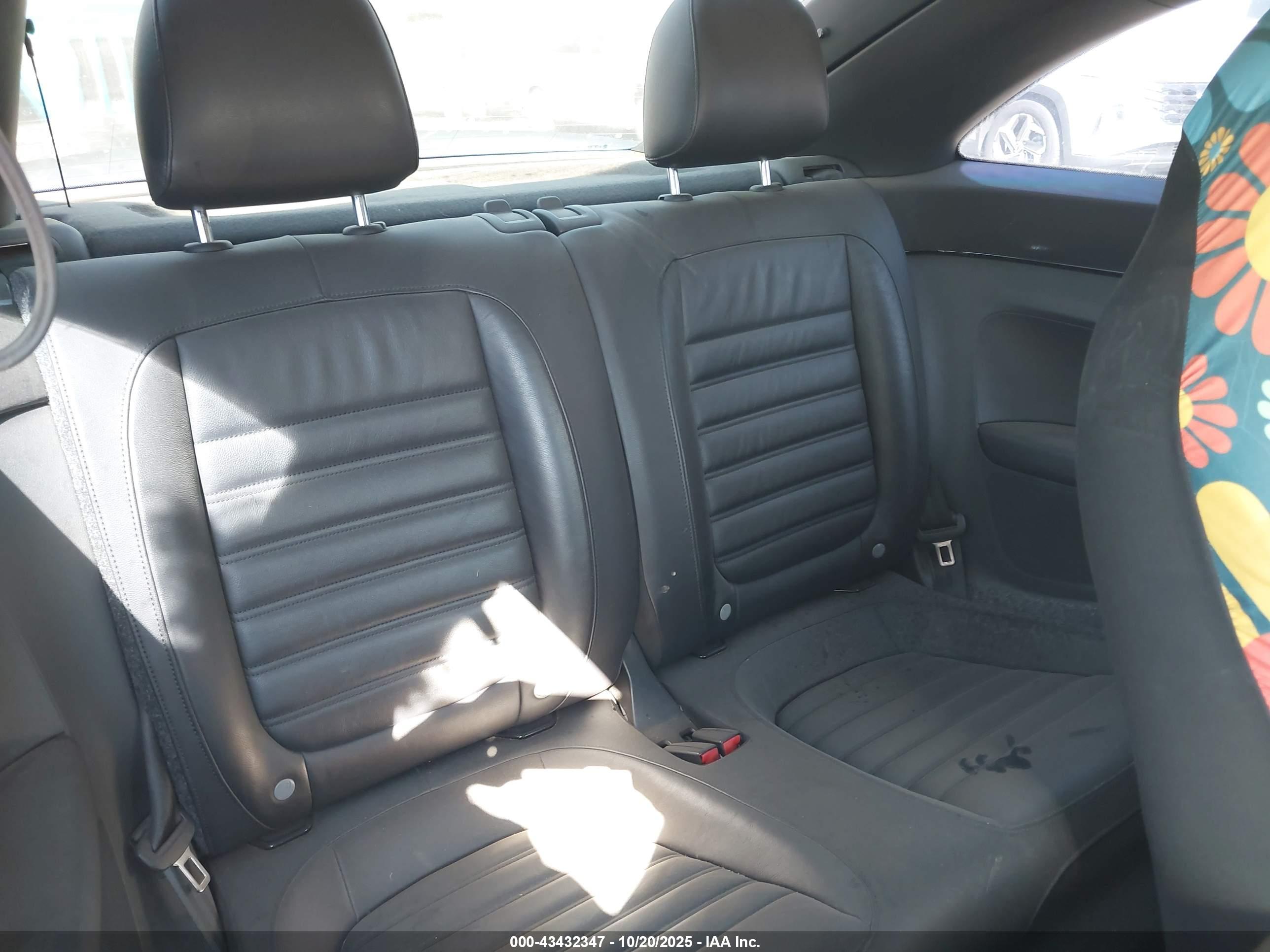 VOLKSWAGEN BEETLE image 8