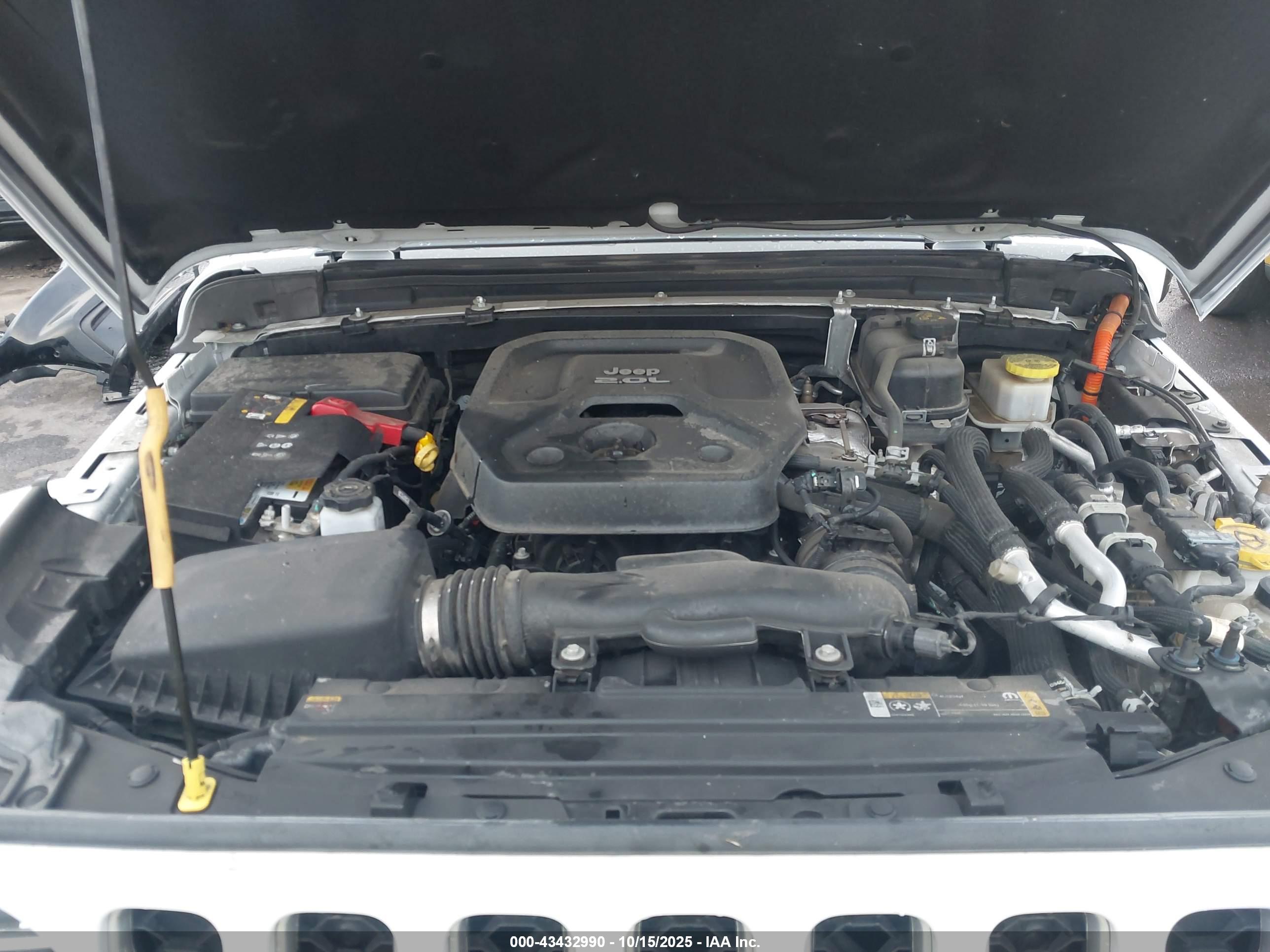 JEEP WRANGLER image 10