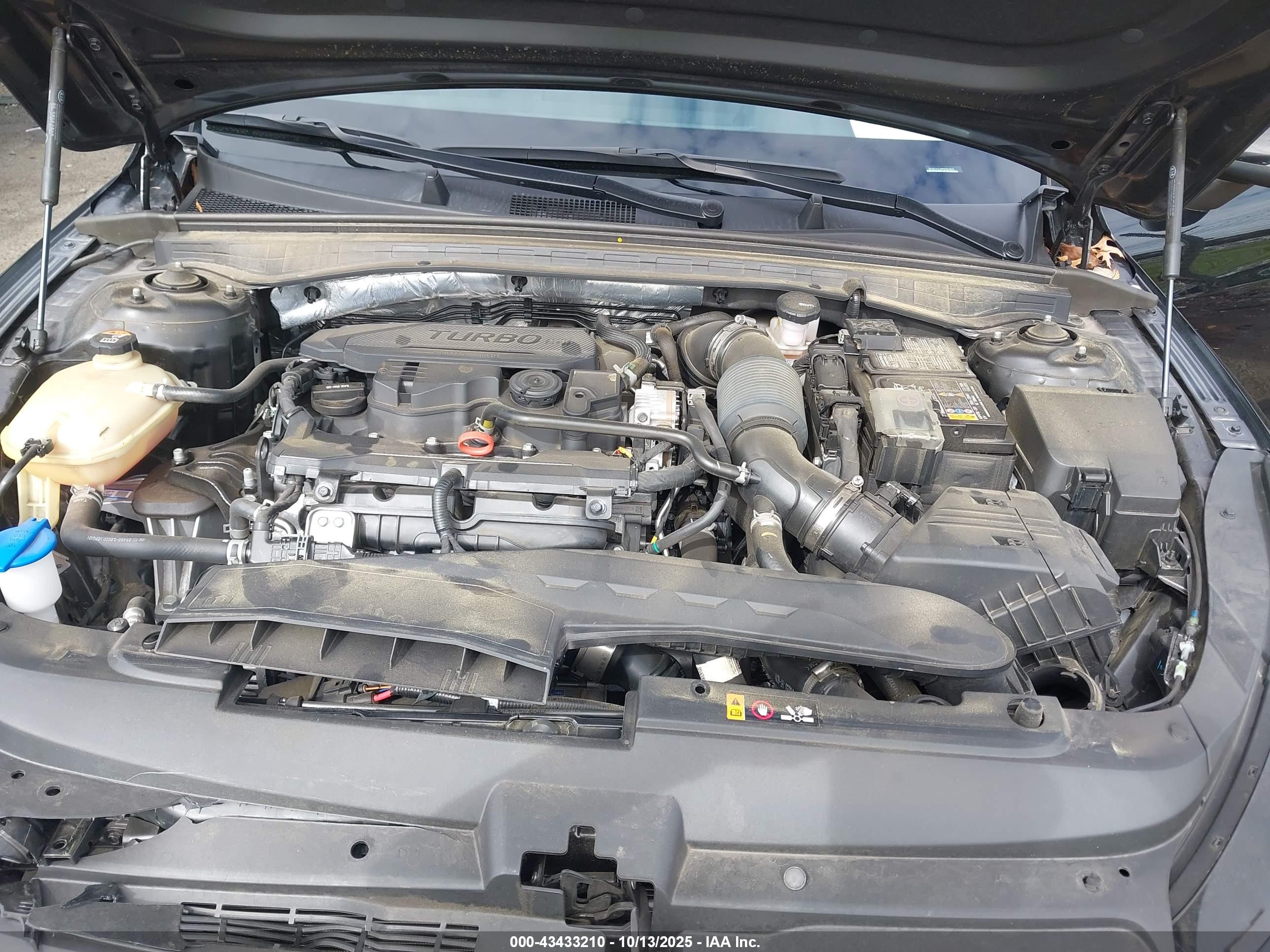KIA K5 image 10