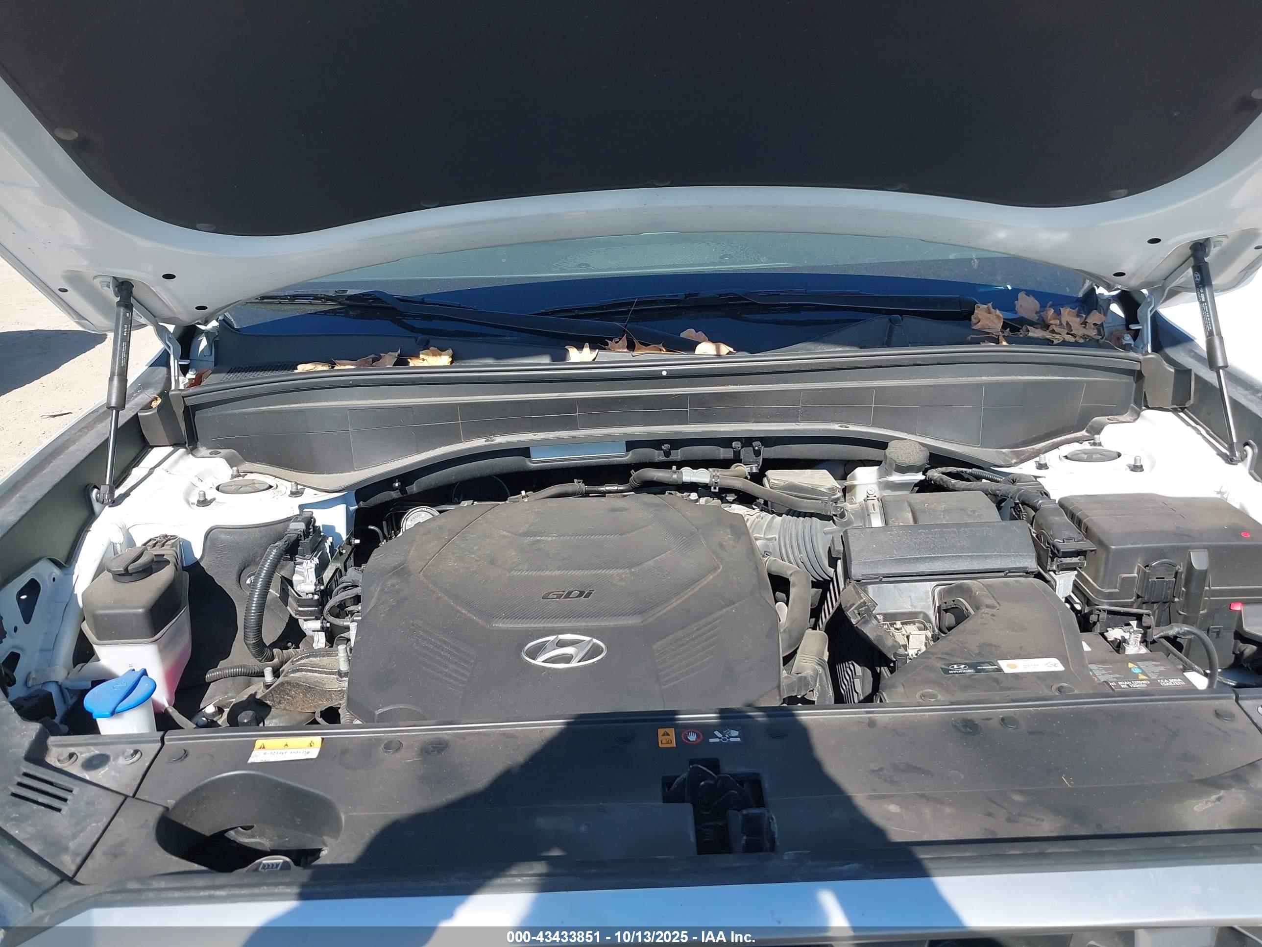 HYUNDAI PALISADE image 10