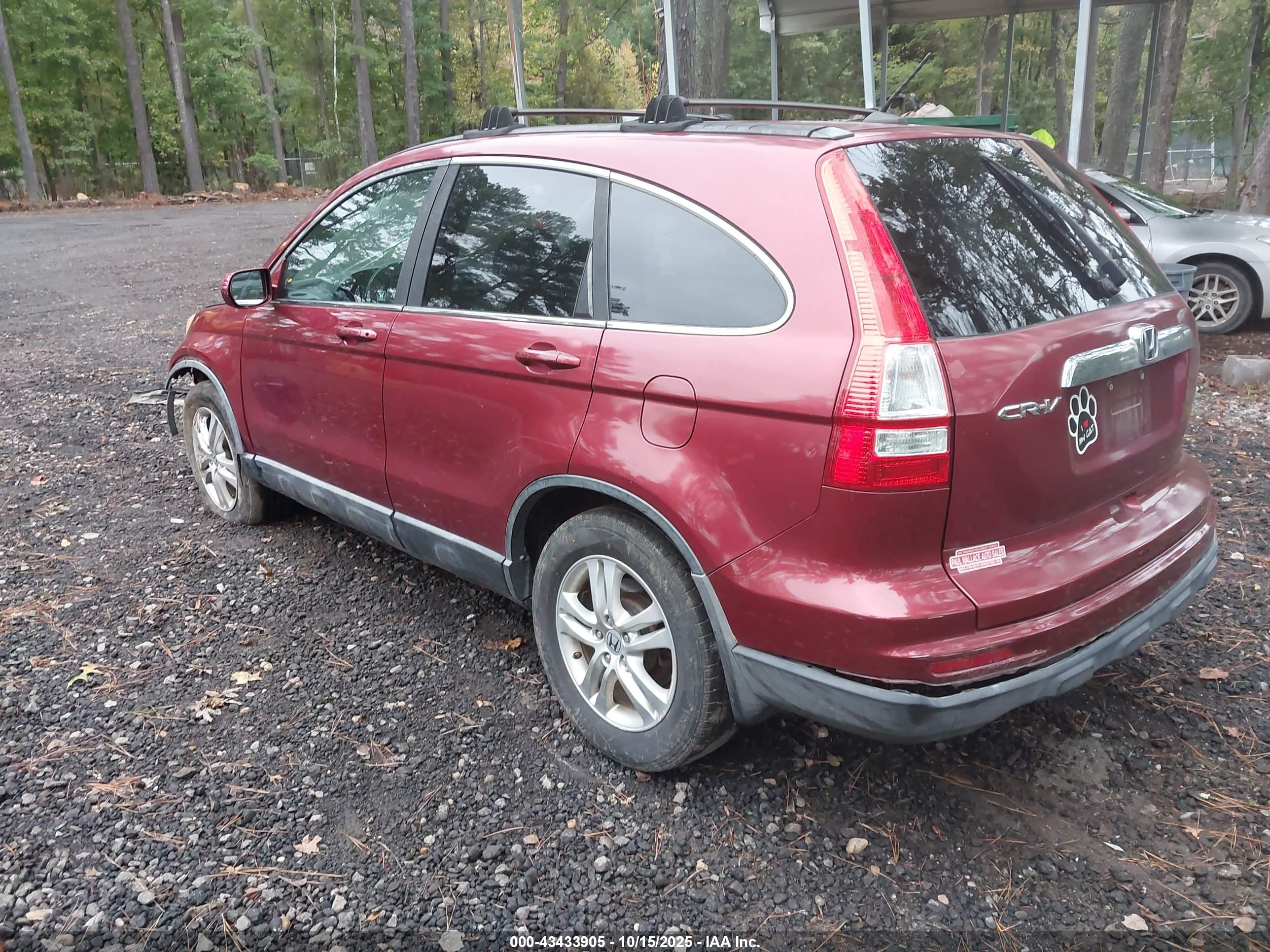 HONDA CR-V image 3