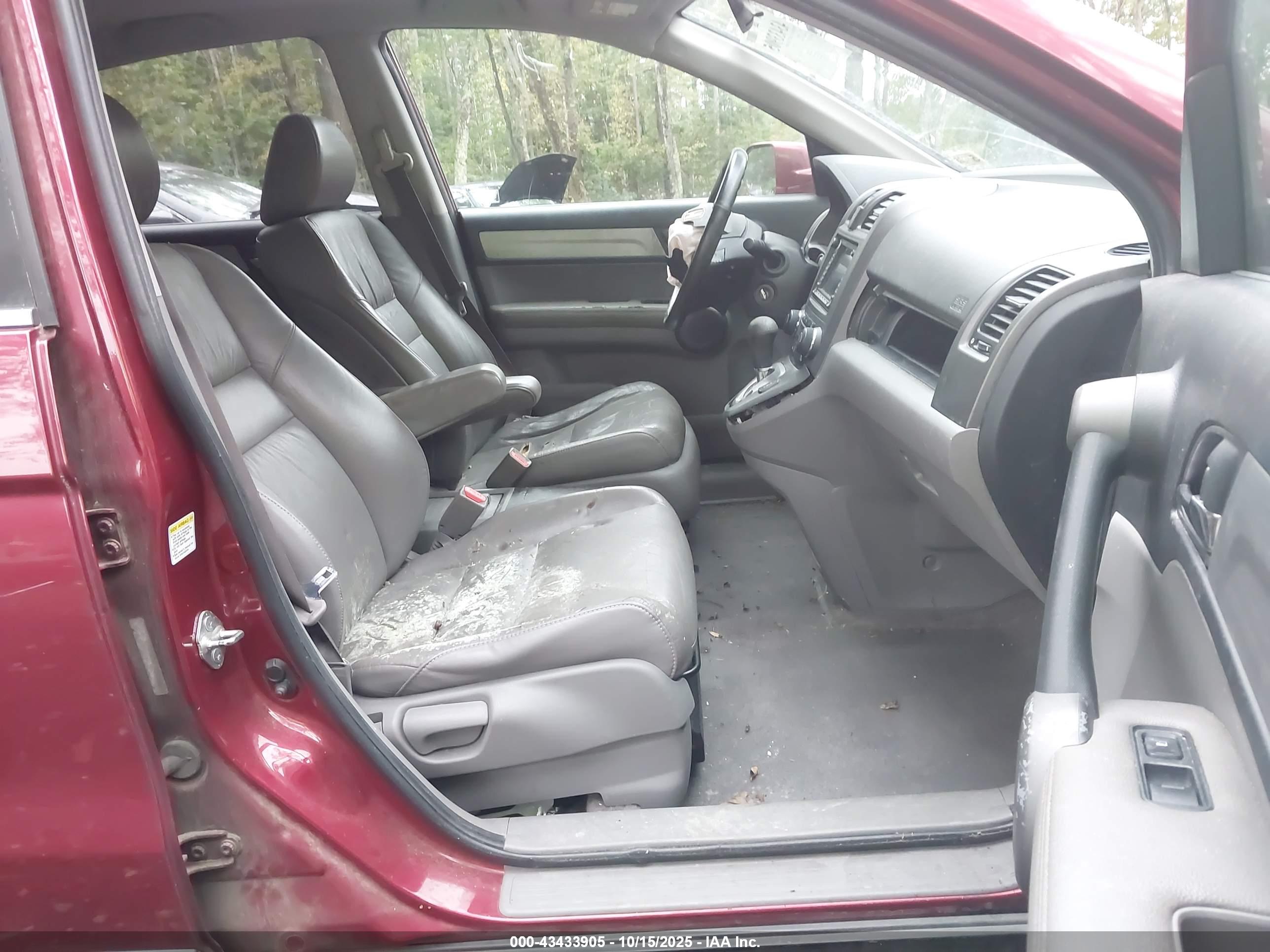 HONDA CR-V image 5