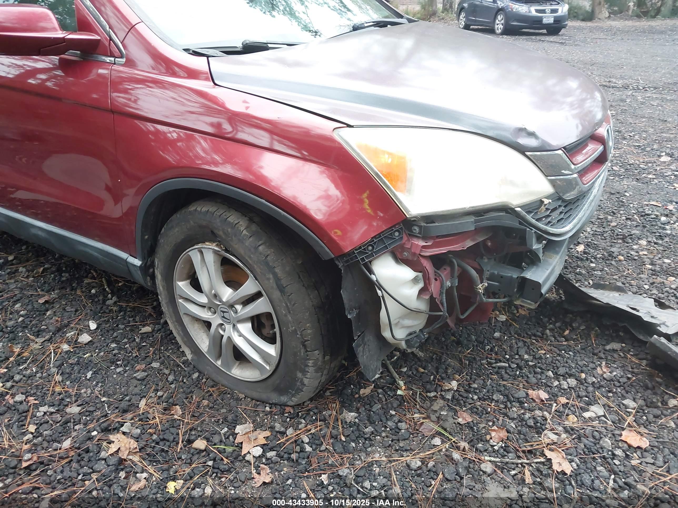 HONDA CR-V image 6
