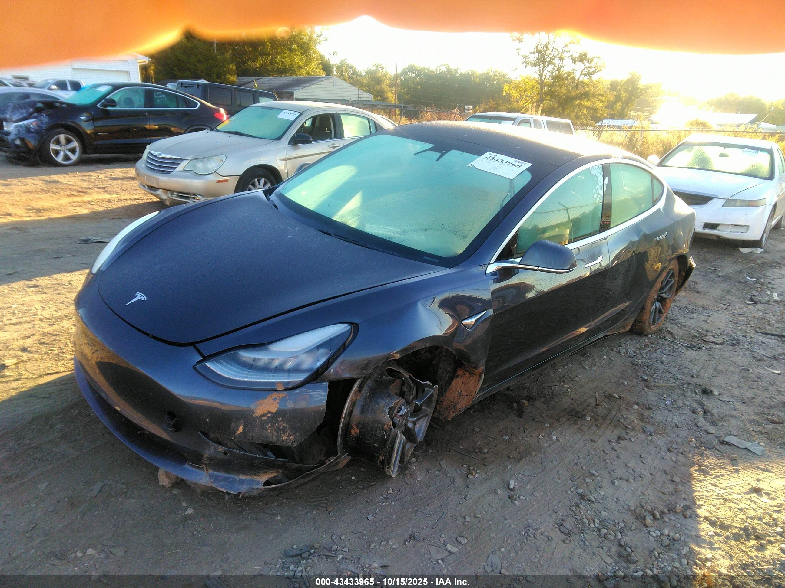TESLA MODEL image 6