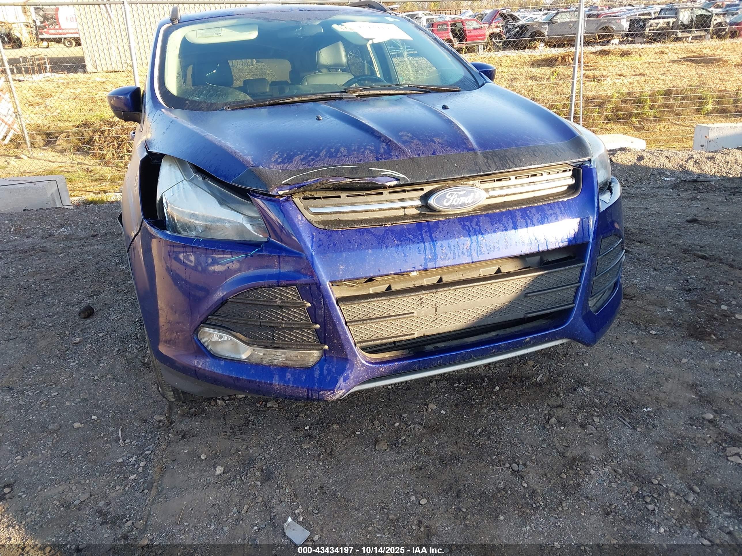 FORD ESCAPE image 6