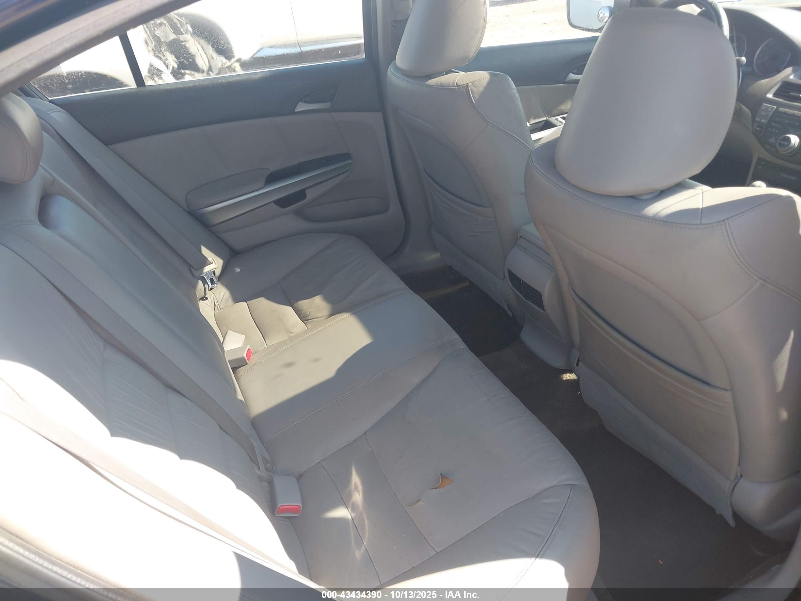 HONDA ACCORD image 8
