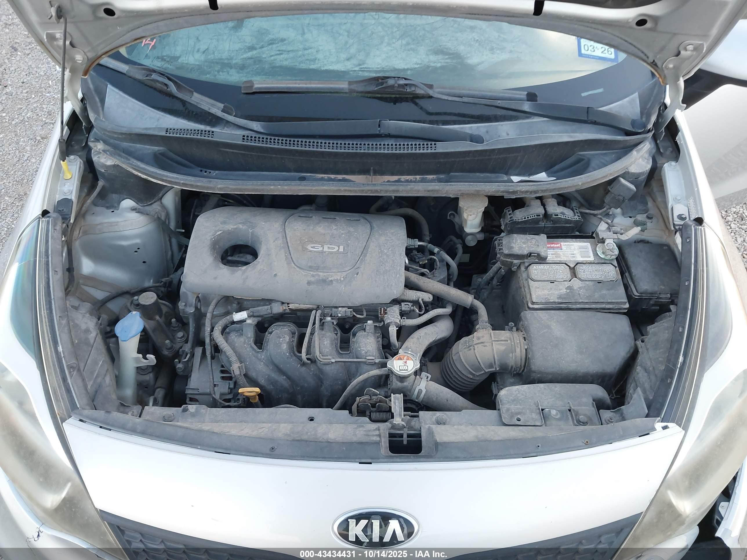 KIA RIO image 10