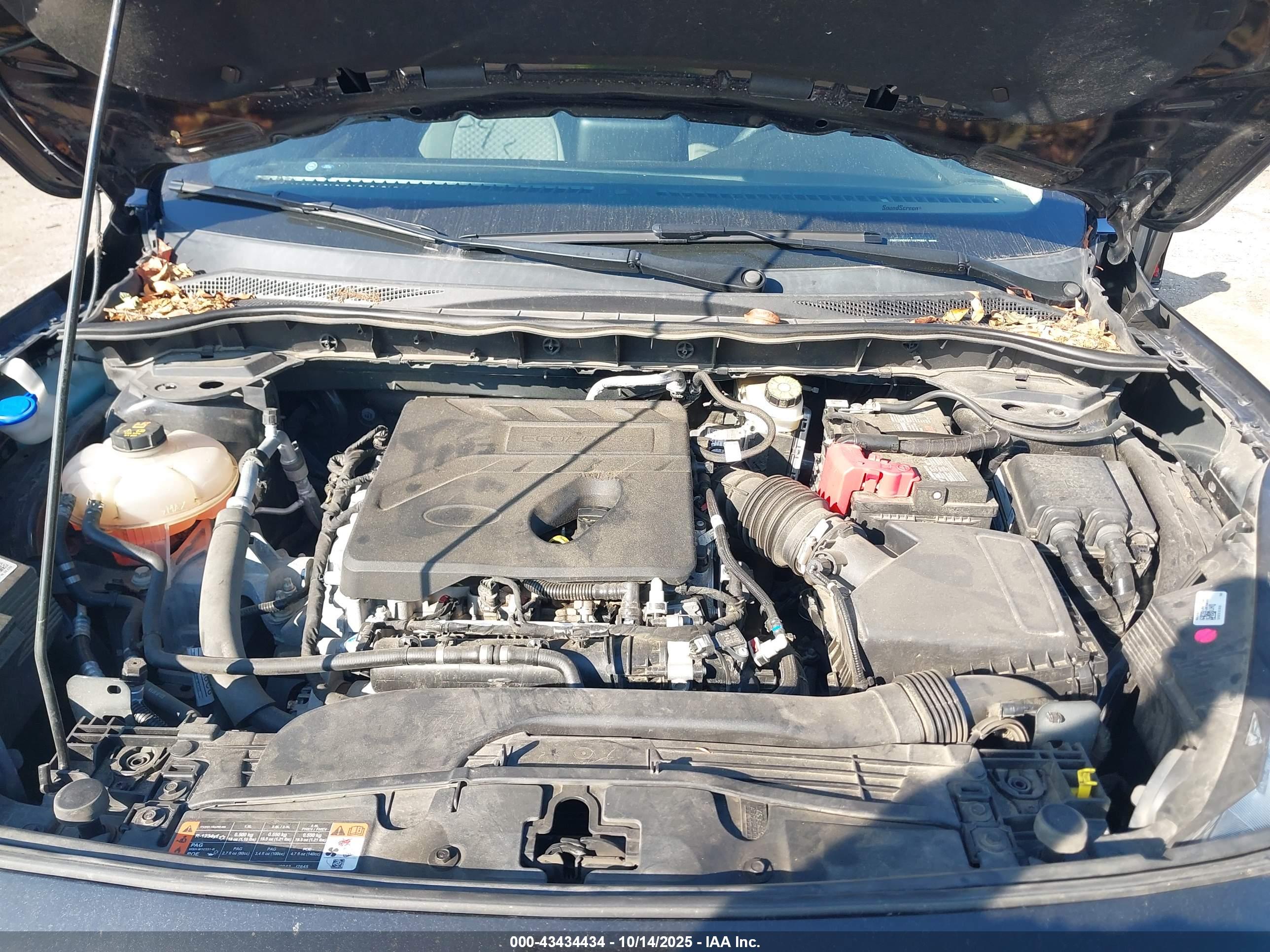 FORD ESCAPE image 10