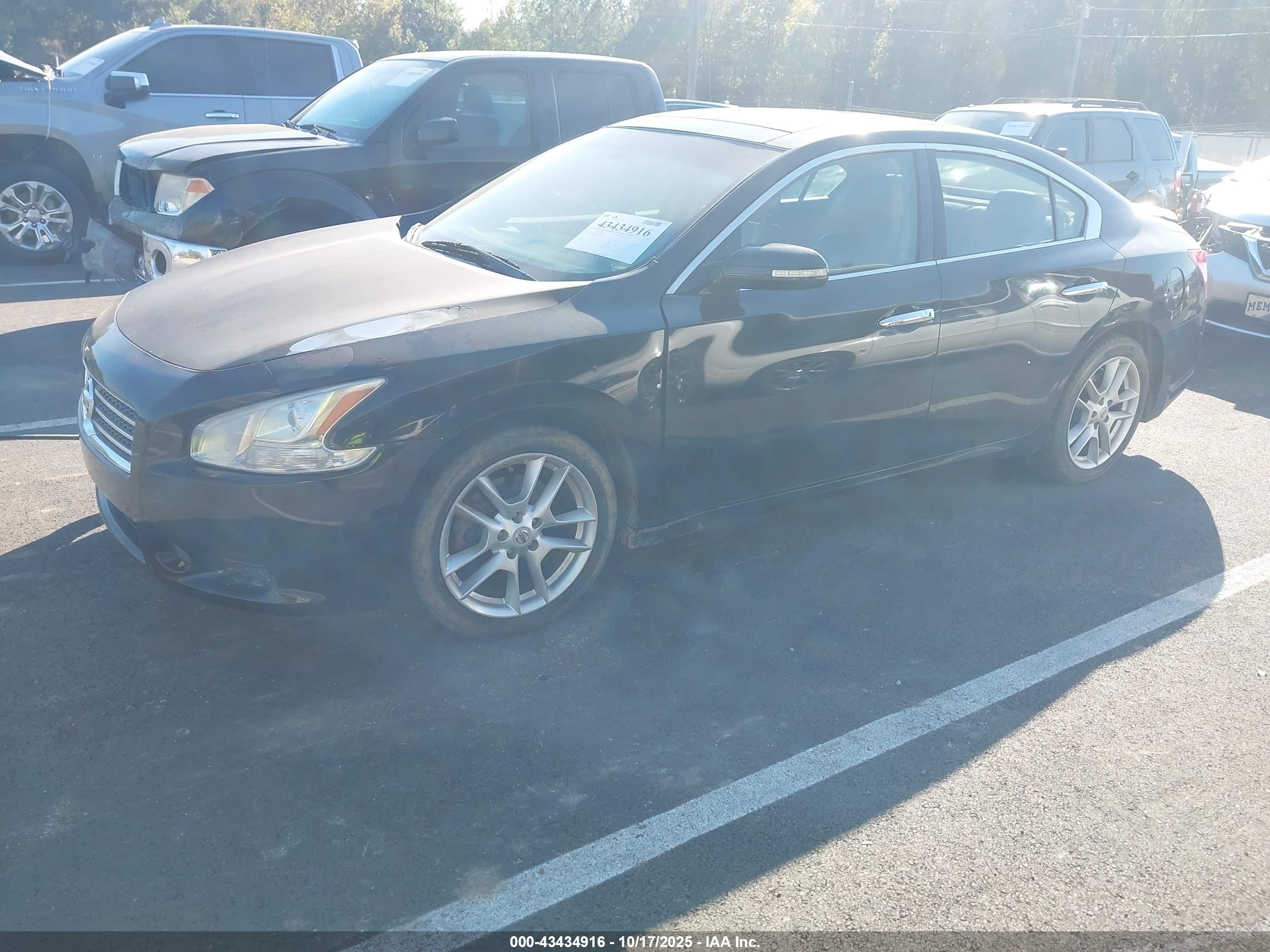 NISSAN MAXIMA image 2