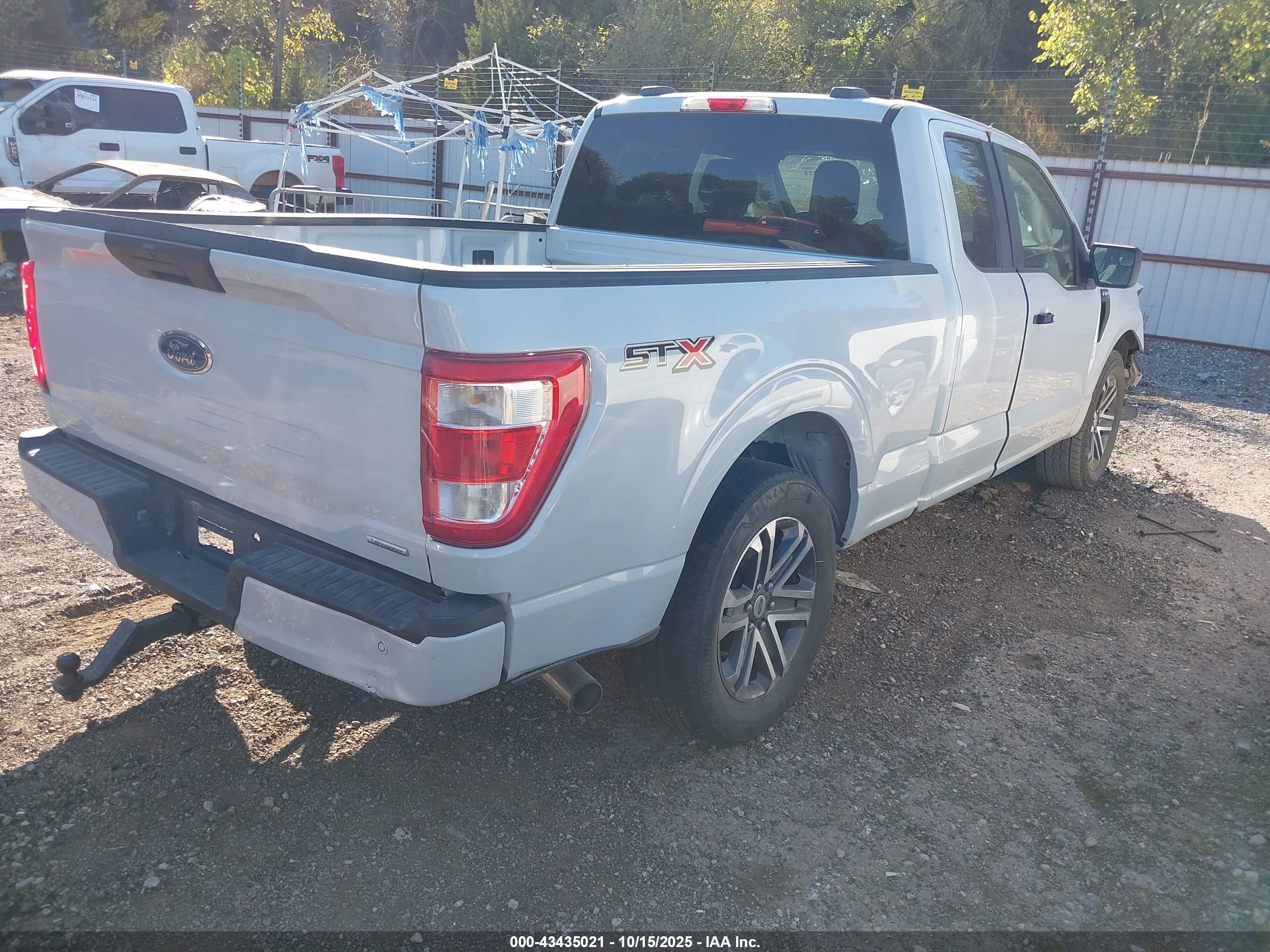 FORD F-150 image 4