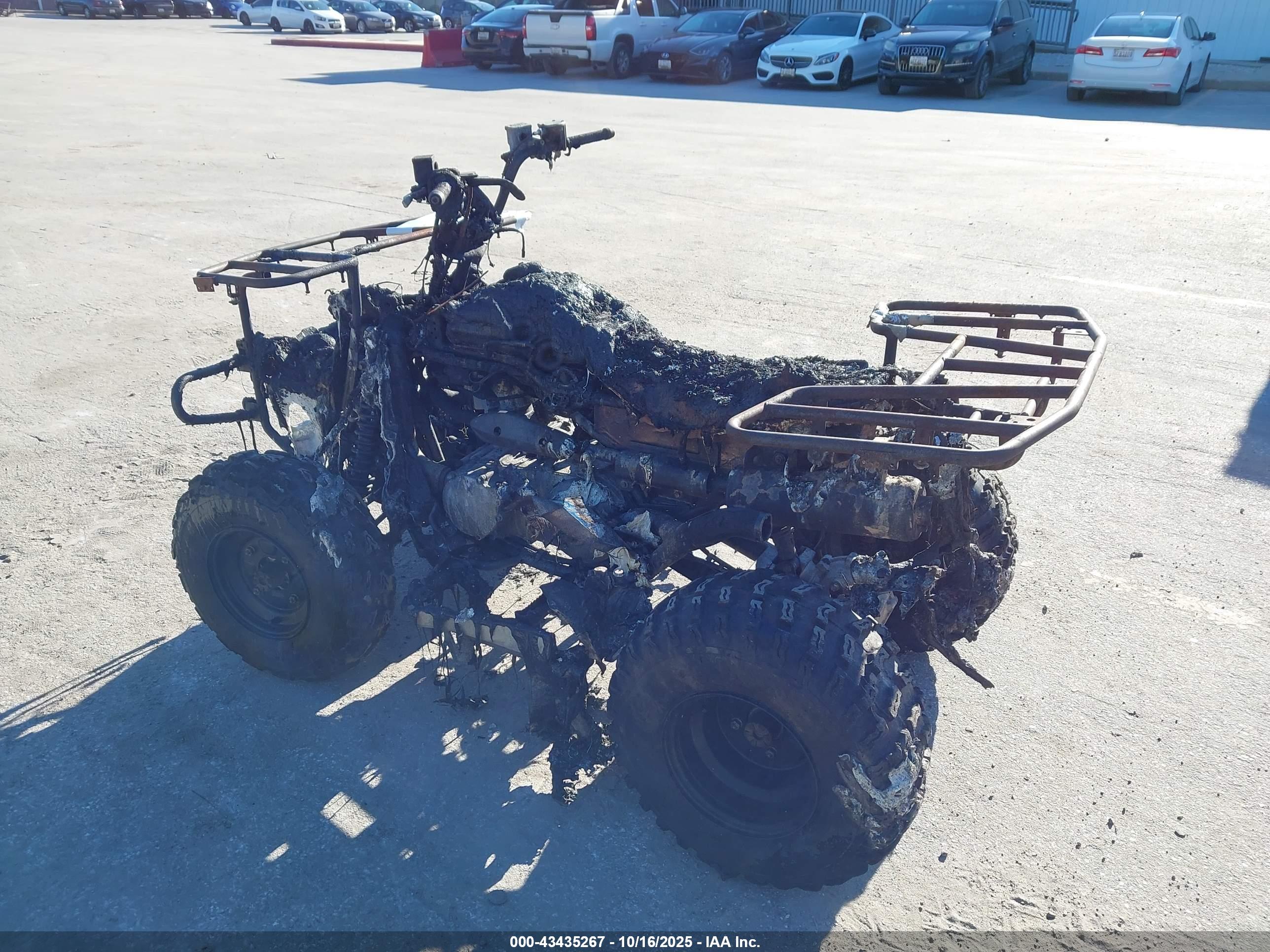 KAWASAKI KVF300 image 3