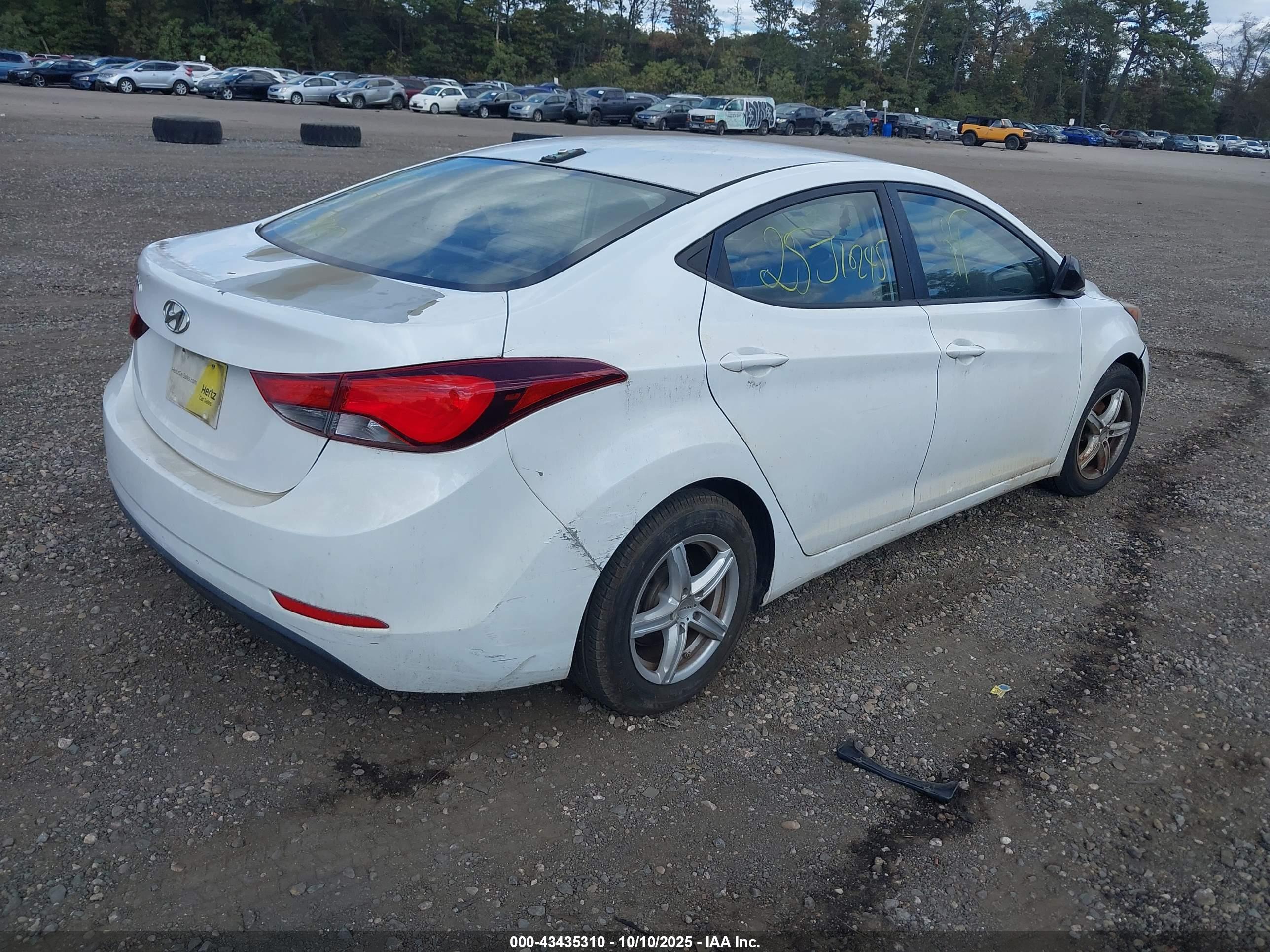 HYUNDAI ELANTRA image 4